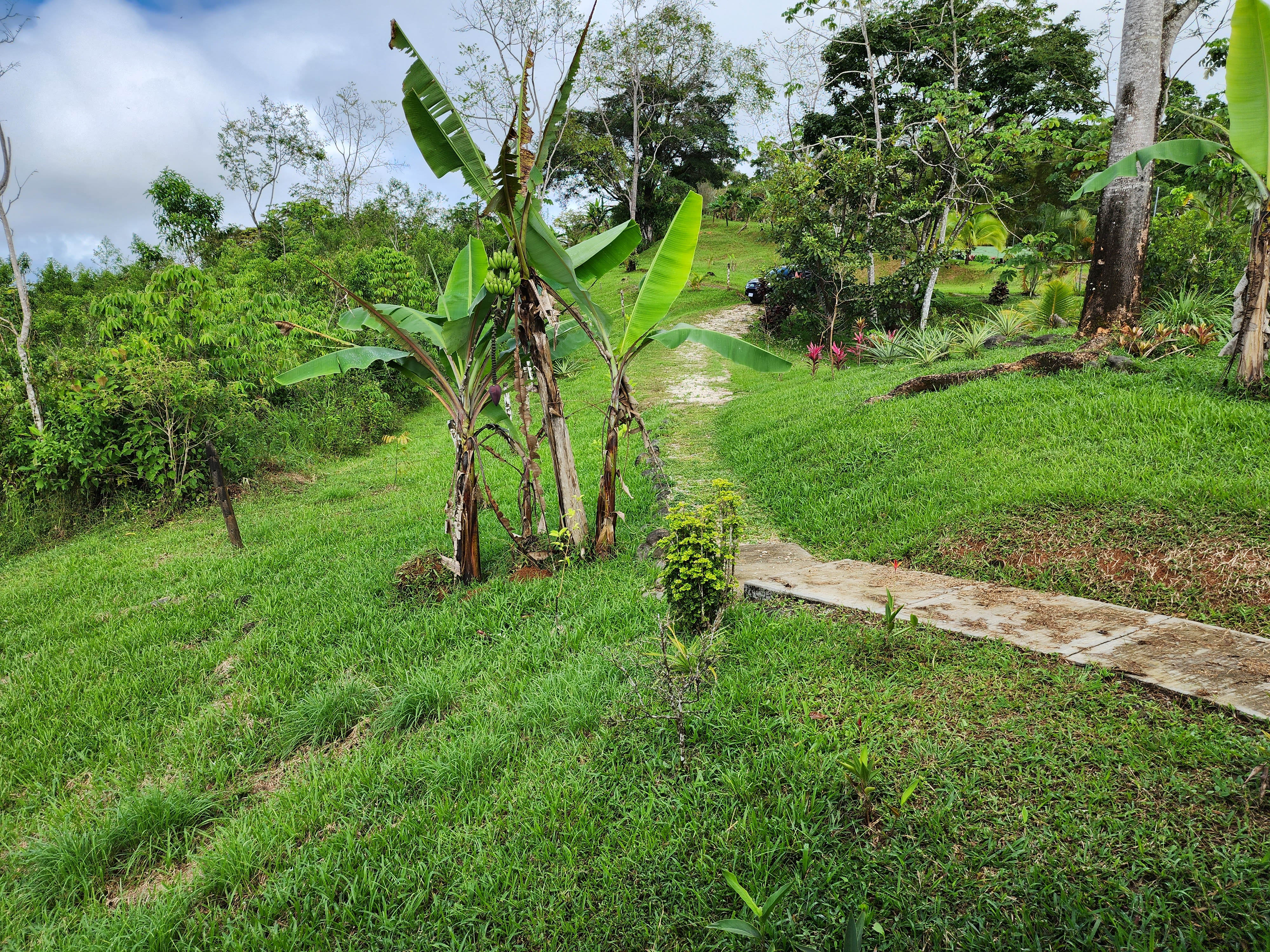 1 bed Single Family Homes For Sale in Dominical, Puntarenas - thumb 11