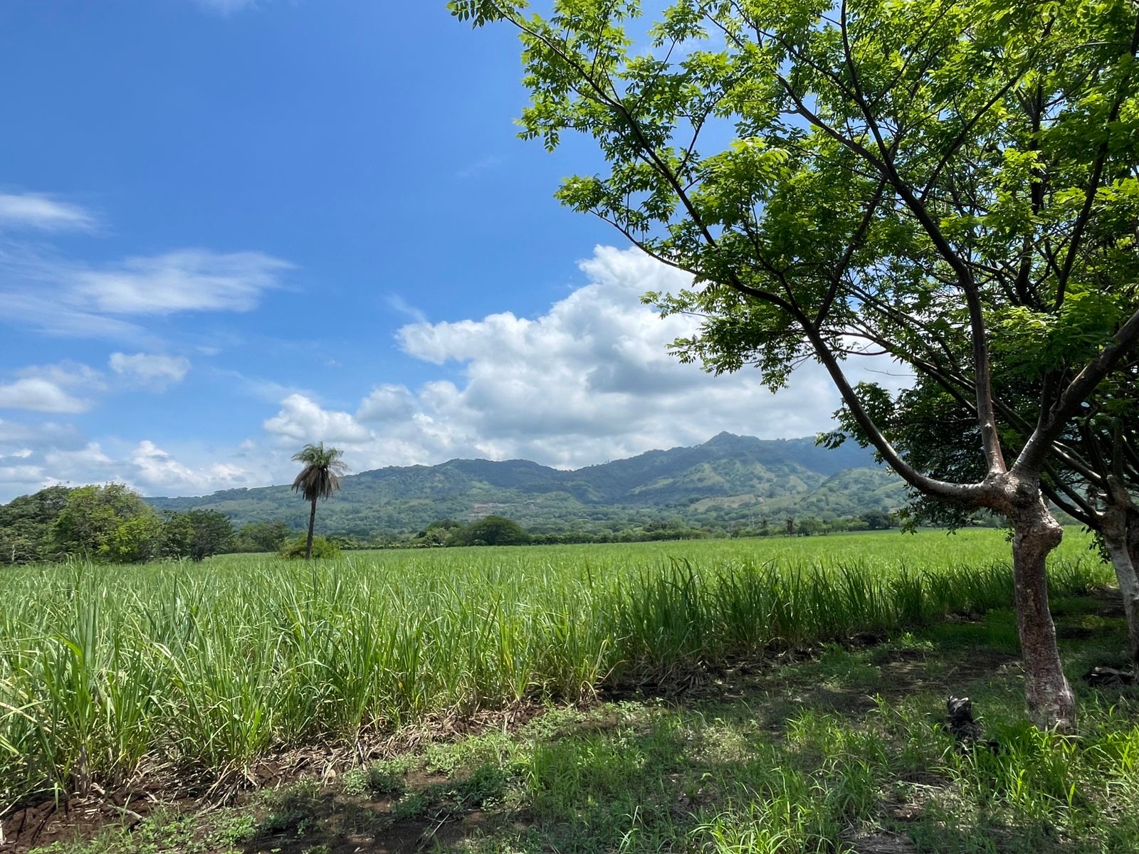 0 bed Land For Sale in Atenas, Alajuela - thumb 2