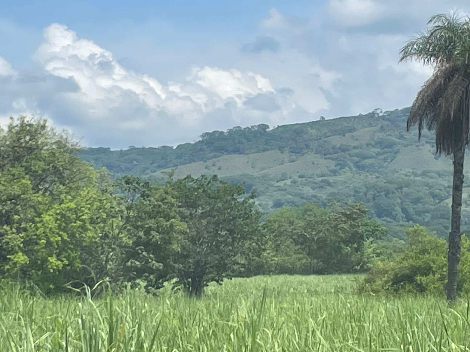 0 bed Land For Sale in Atenas, Alajuela - thumb 8