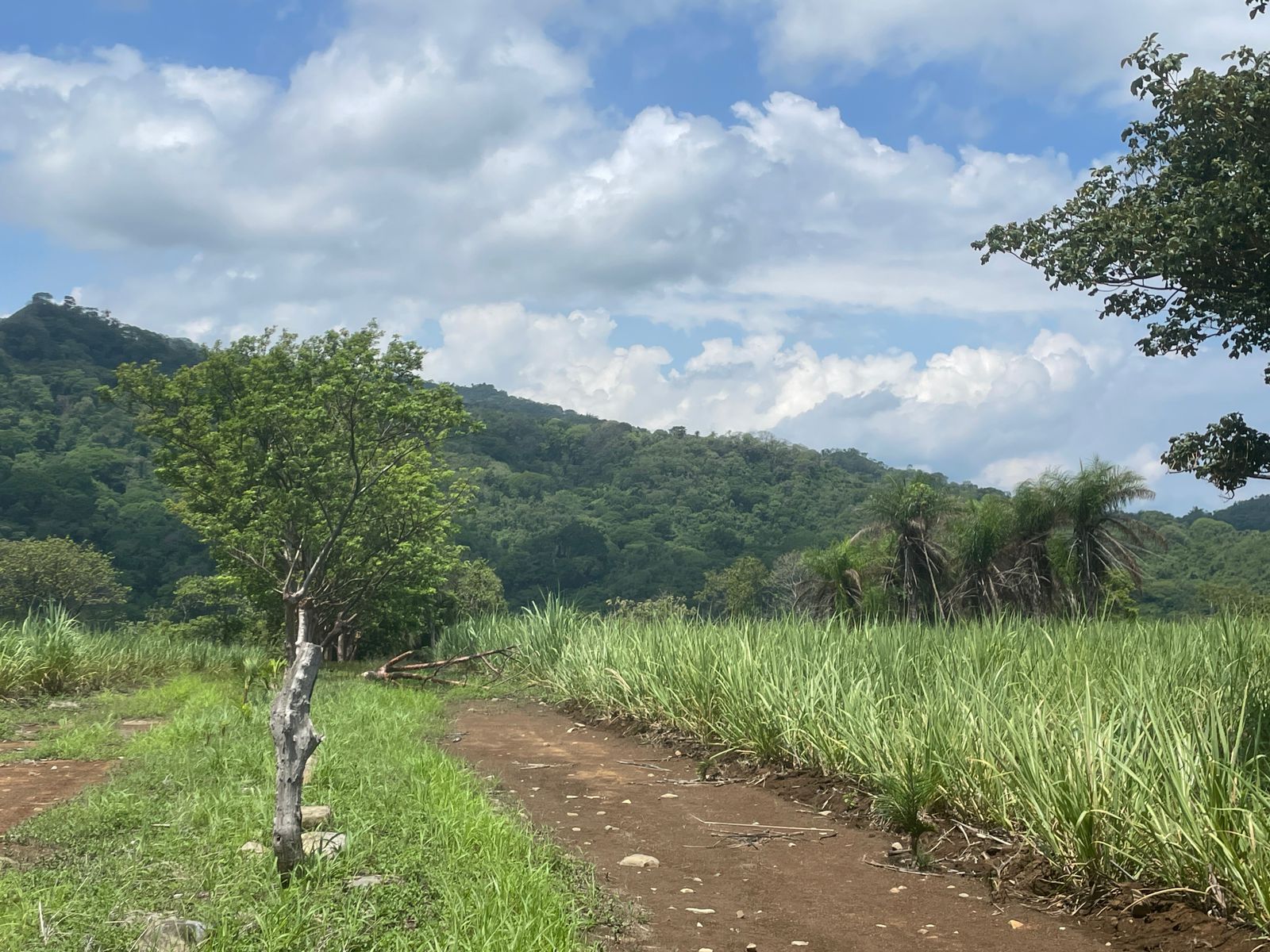 0 bed Land For Sale in Atenas, Alajuela - thumb 6