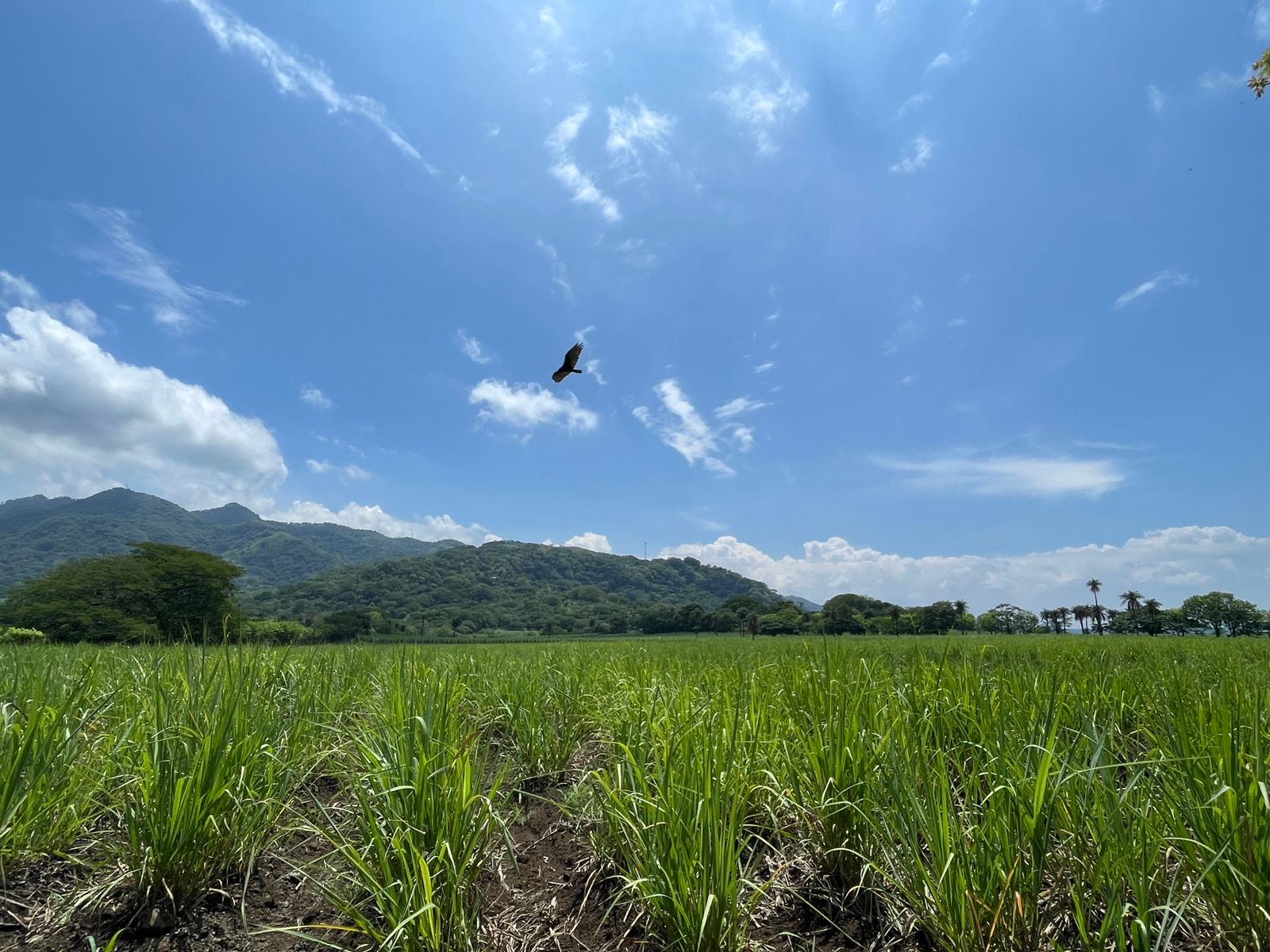 0 bed Land For Sale in Atenas, Alajuela - thumb 1