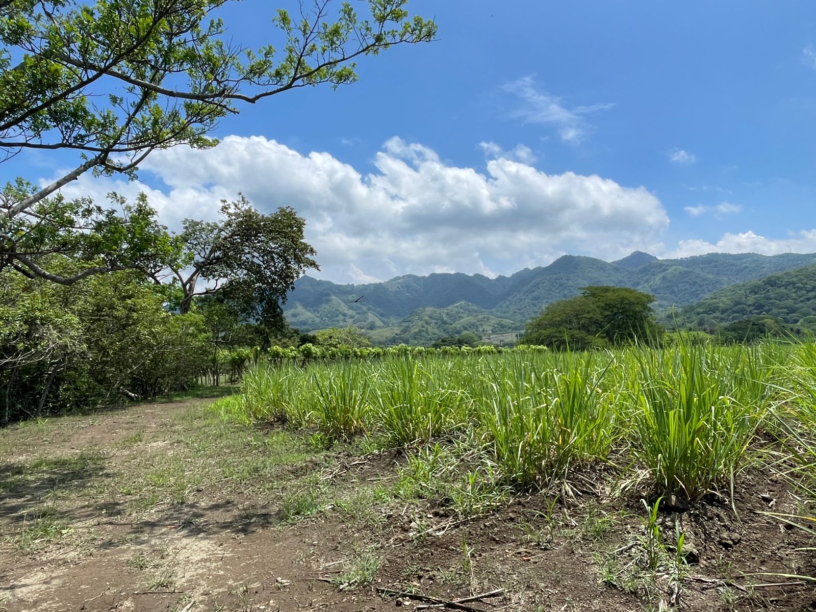 0 bed Land For Sale in Atenas, Alajuela - thumb 3