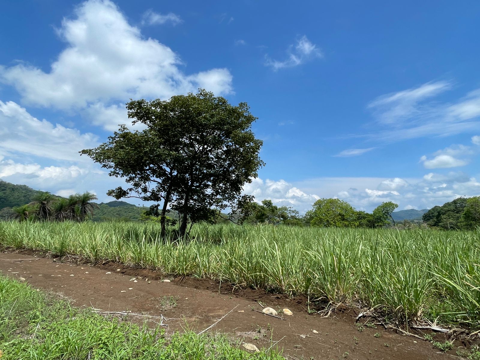 0 bed Land For Sale in Atenas, Alajuela - thumb 4