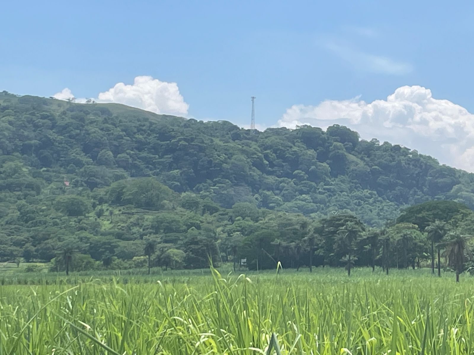 0 bed Land For Sale in Atenas, Alajuela - thumb 7