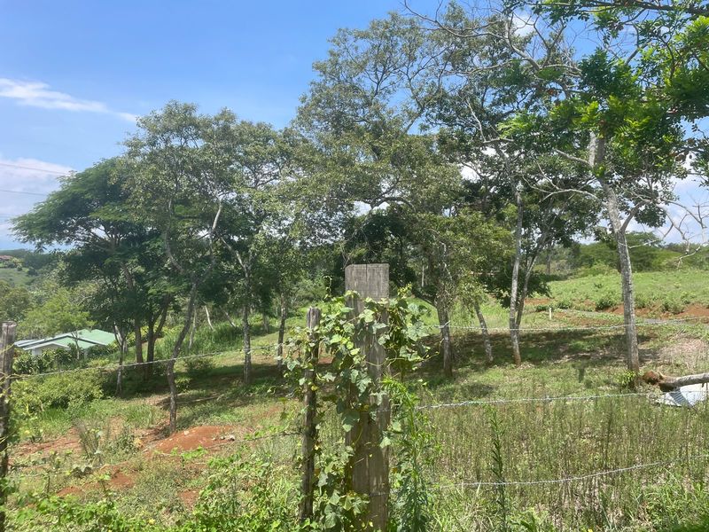 0 bed Land For Sale in Atenas, Alajuela - thumb 3