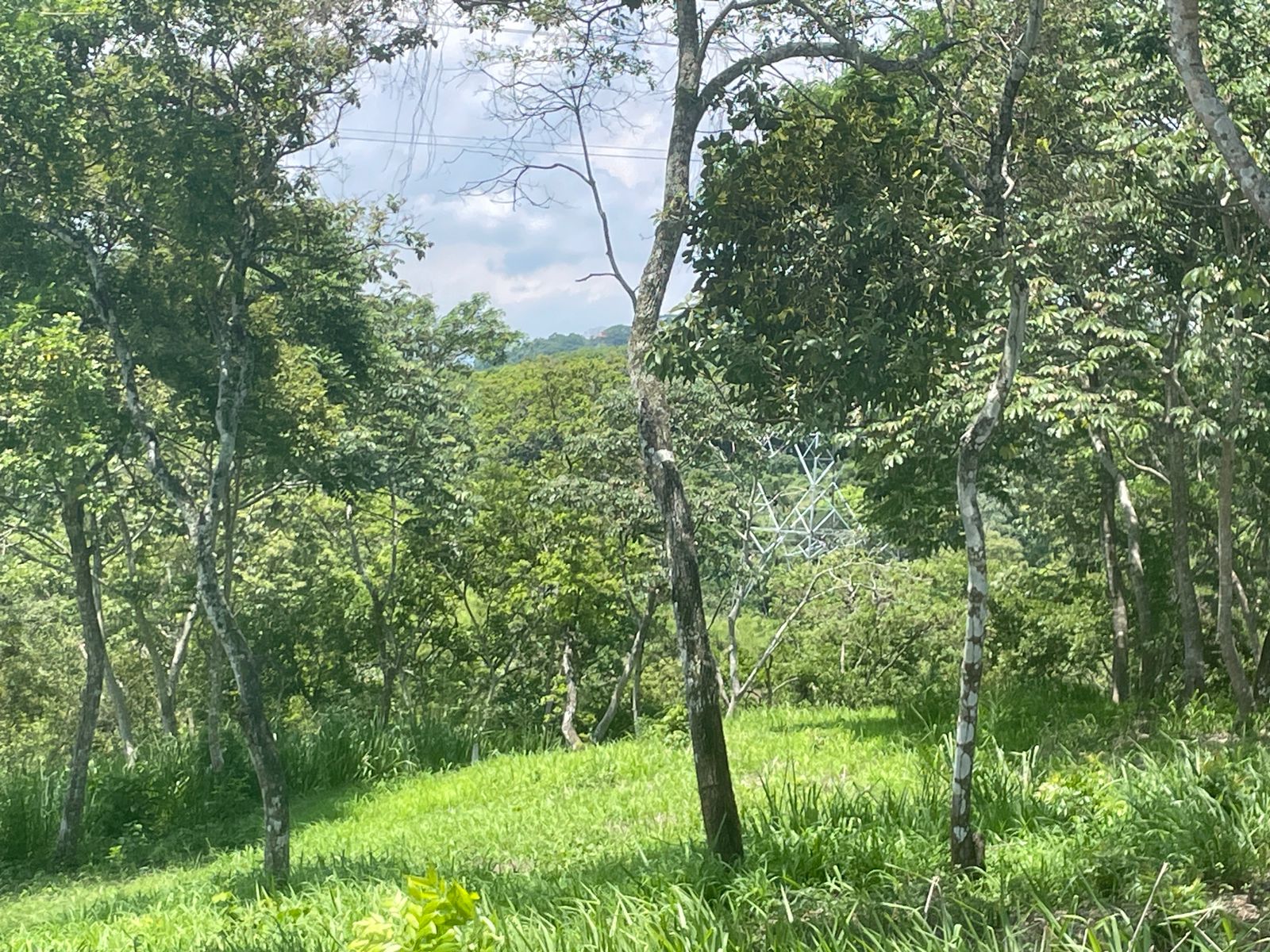 0 bed Land For Sale in Atenas, Alajuela - thumb 7
