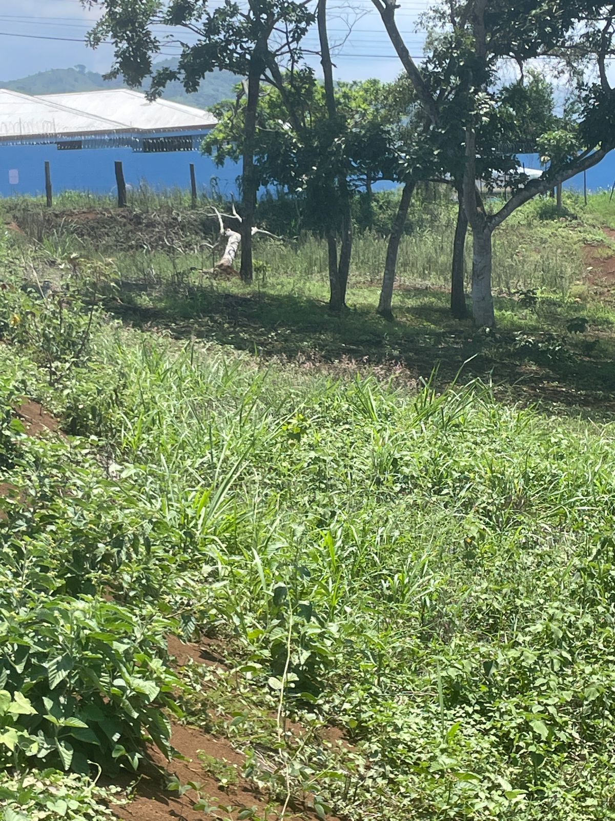 0 bed Land For Sale in Atenas, Alajuela - thumb 9