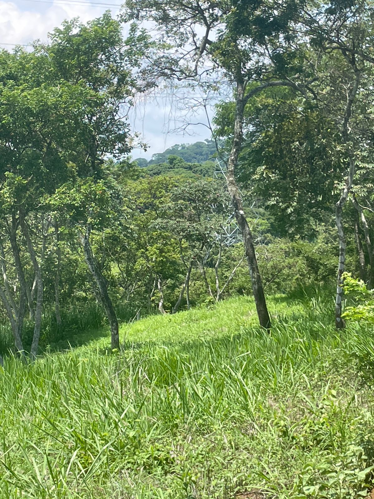 0 bed Land For Sale in Atenas, Alajuela - thumb 4