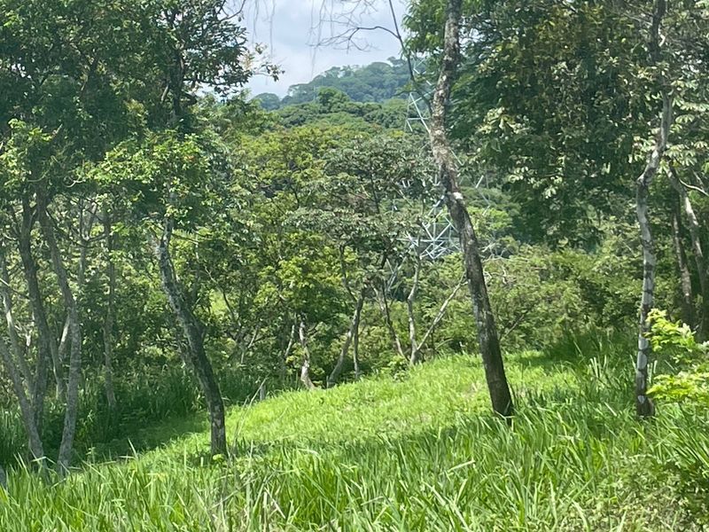 0 bed Land For Sale in Atenas, Alajuela - thumb 4