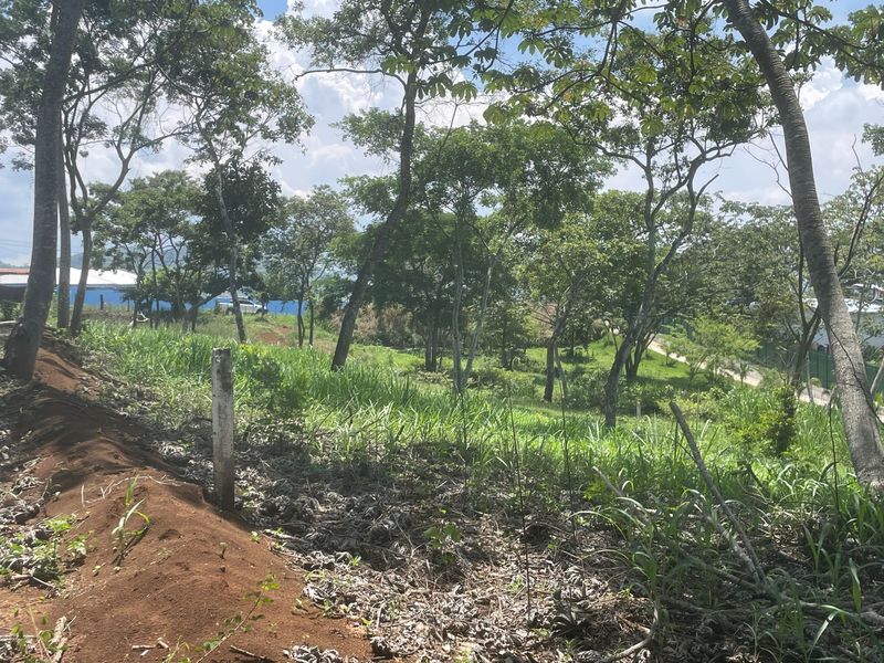 0 bed Land For Sale in Atenas, Alajuela - thumb 6