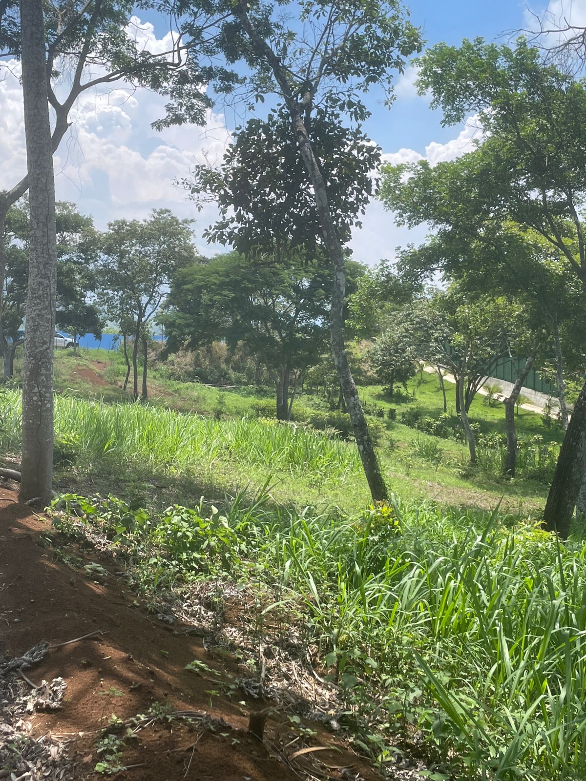 0 bed Land For Sale in Atenas, Alajuela - thumb 8