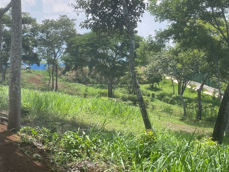 0 bed Land For Sale in Atenas, Alajuela - thumb 8