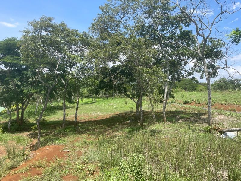 0 bed Land For Sale in Atenas, Alajuela - thumb 2