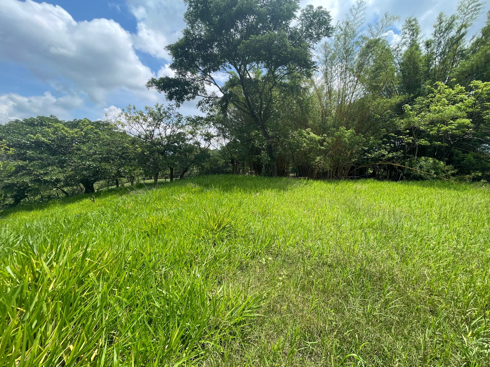 0 bed Land For Sale in Atenas, Alajuela - thumb 3