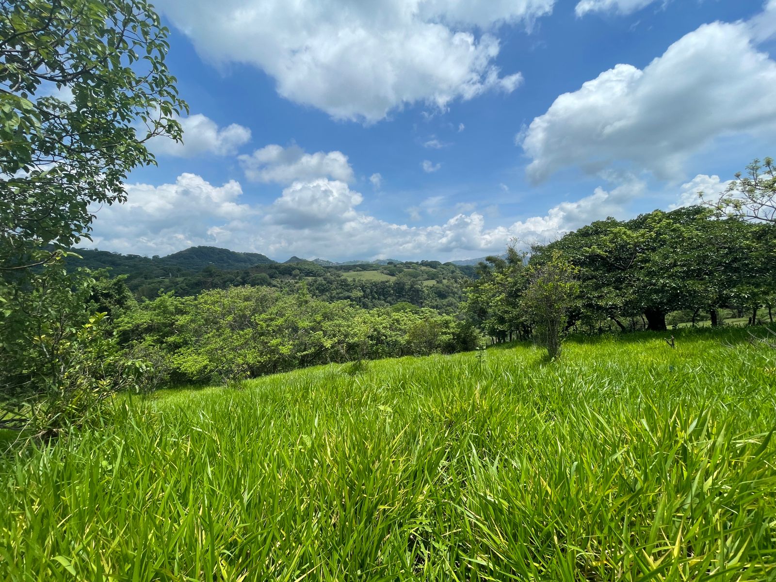 0 bed Land For Sale in Atenas, Alajuela - thumb 1