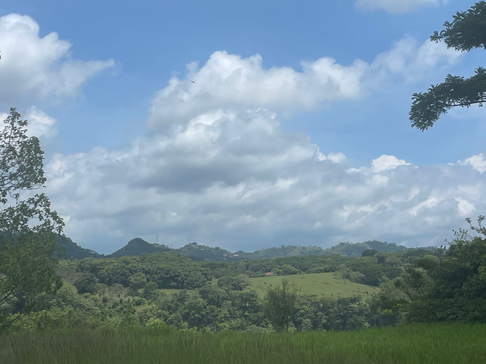 0 bed Land For Sale in Atenas, Alajuela - thumb 7