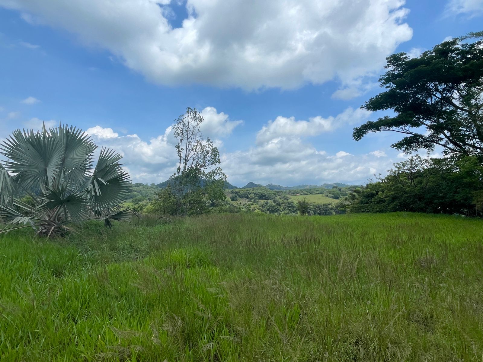 0 bed Land For Sale in Atenas, Alajuela - thumb 4