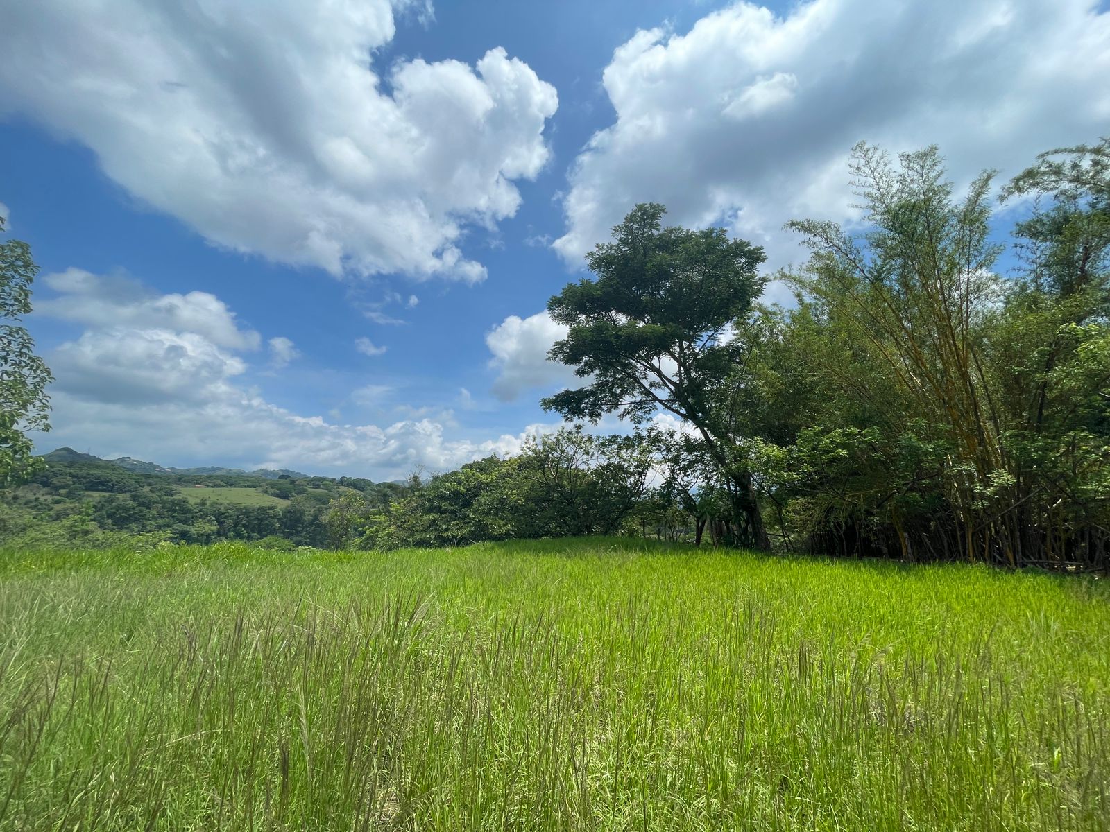 0 bed Land For Sale in Atenas, Alajuela - thumb 8