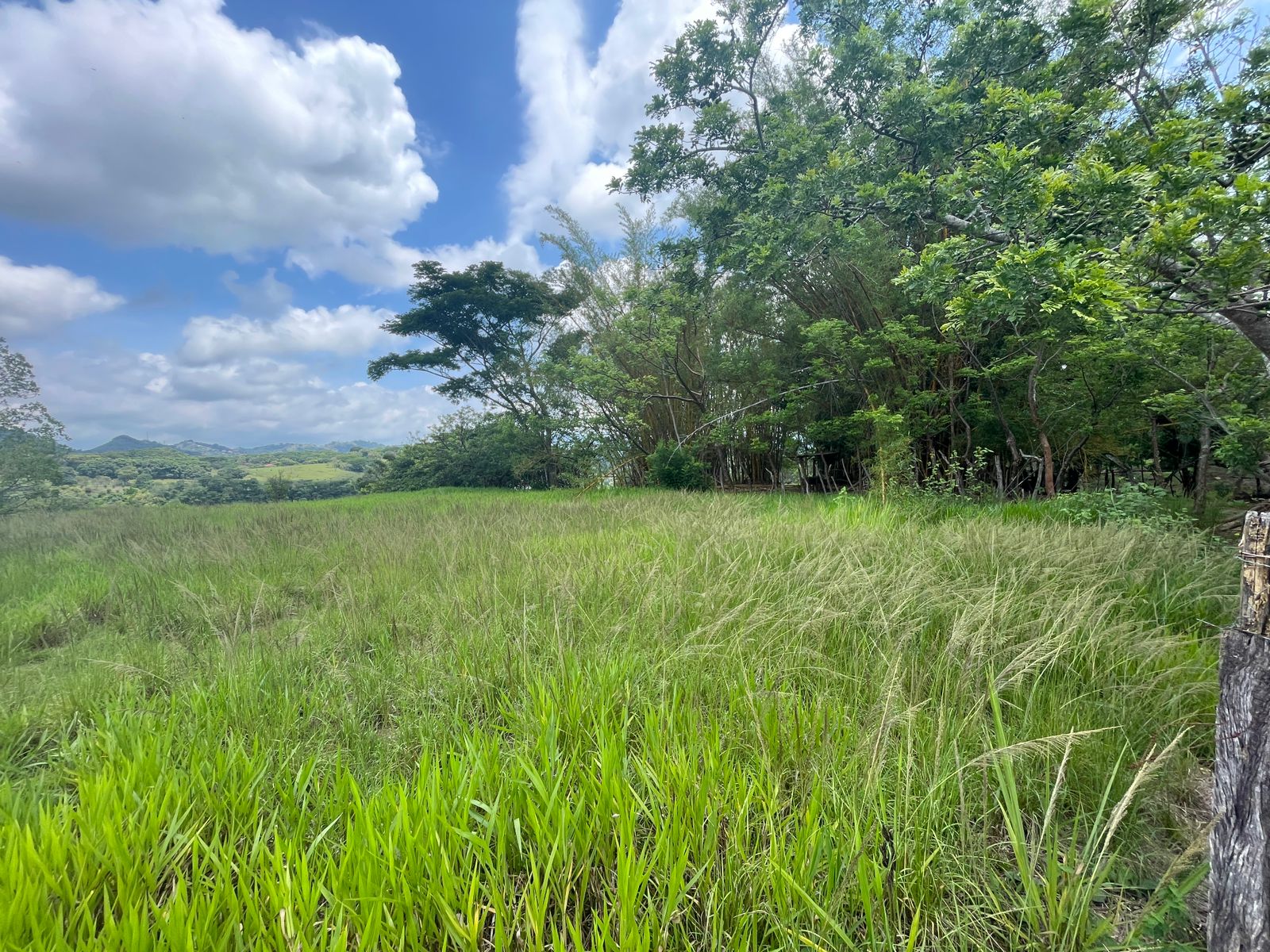 0 bed Land For Sale in Atenas, Alajuela - thumb 9