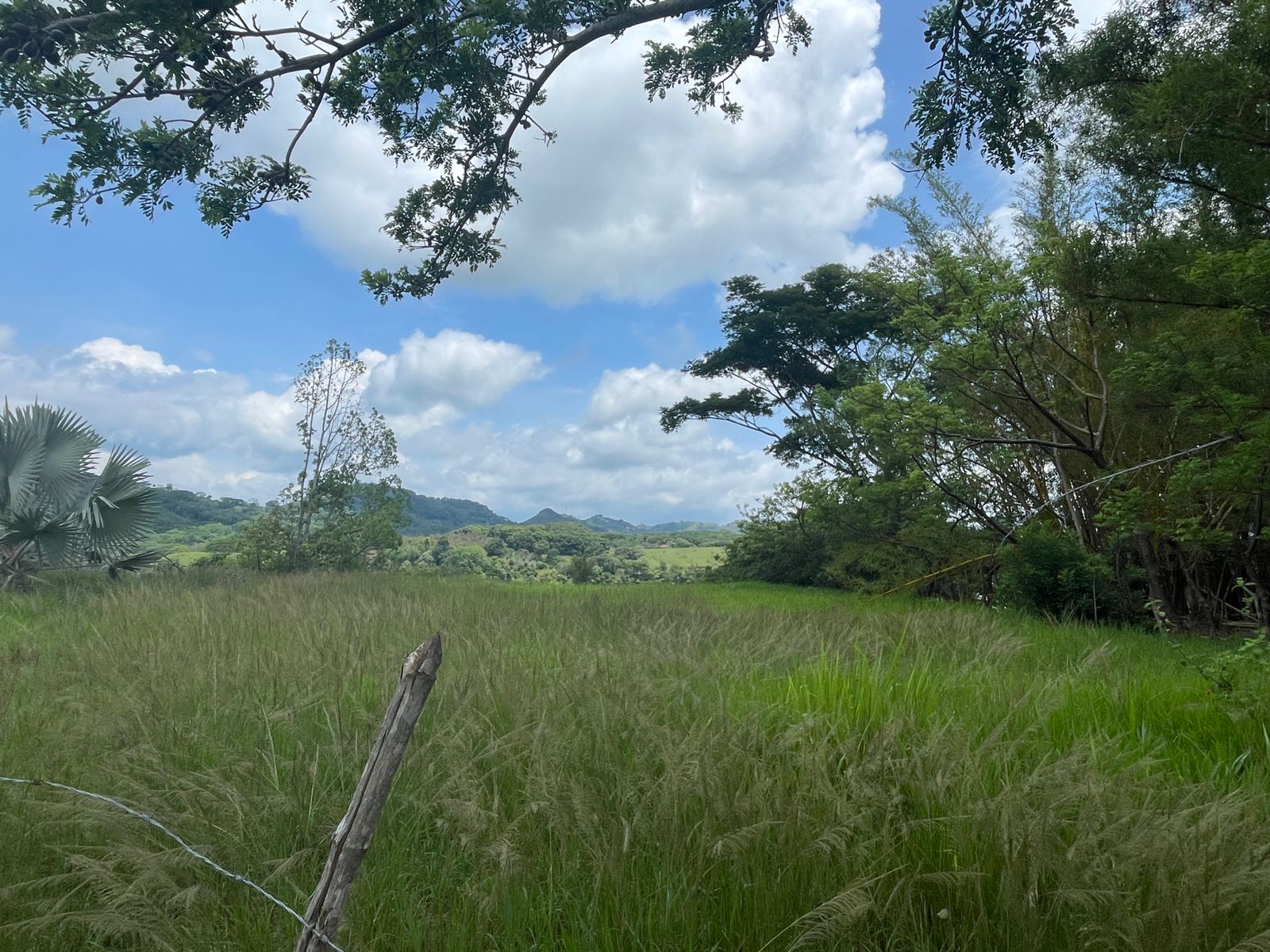 0 bed Land For Sale in Atenas, Alajuela - thumb 11