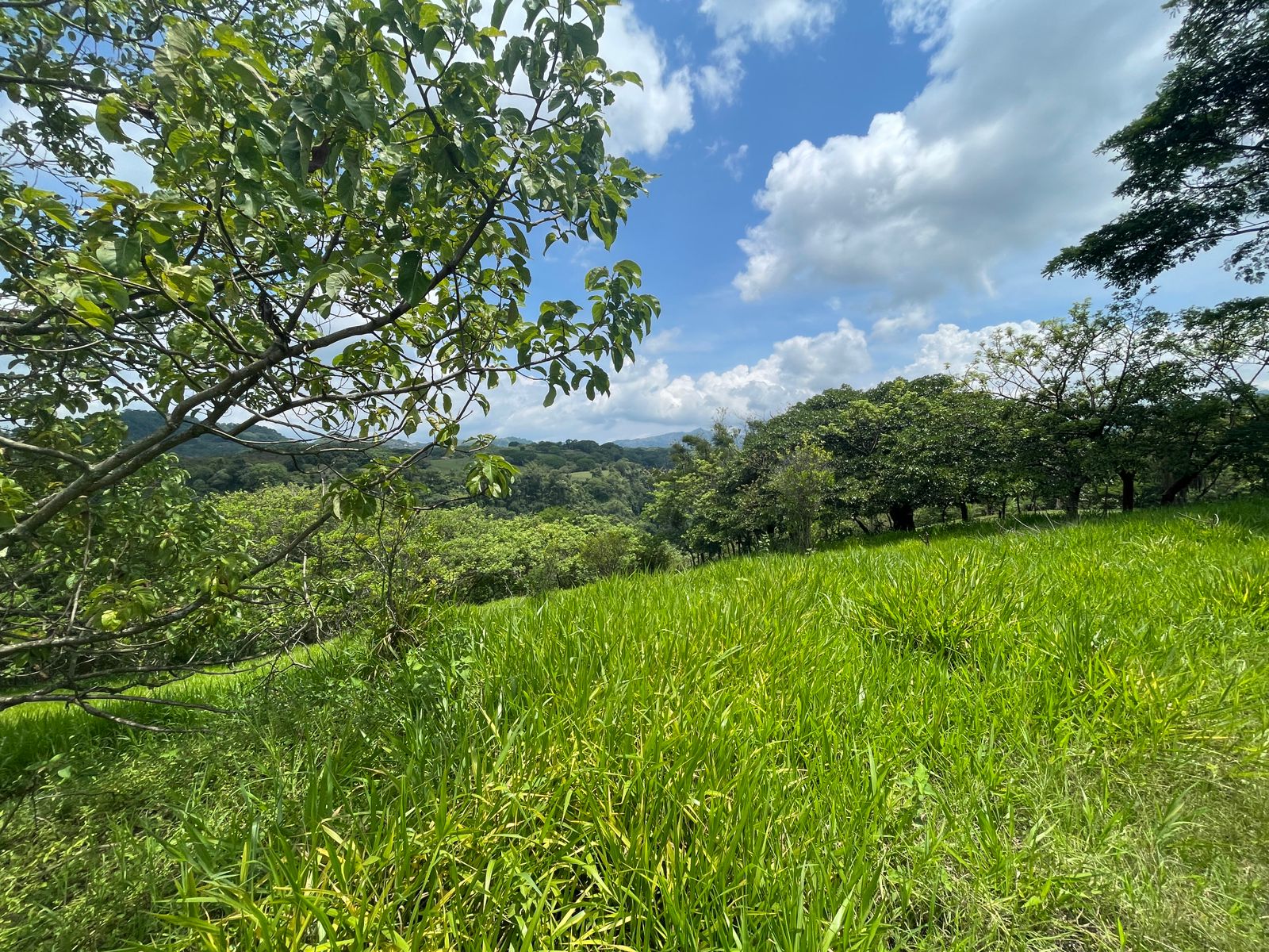 0 bed Land For Sale in Atenas, Alajuela - thumb 2