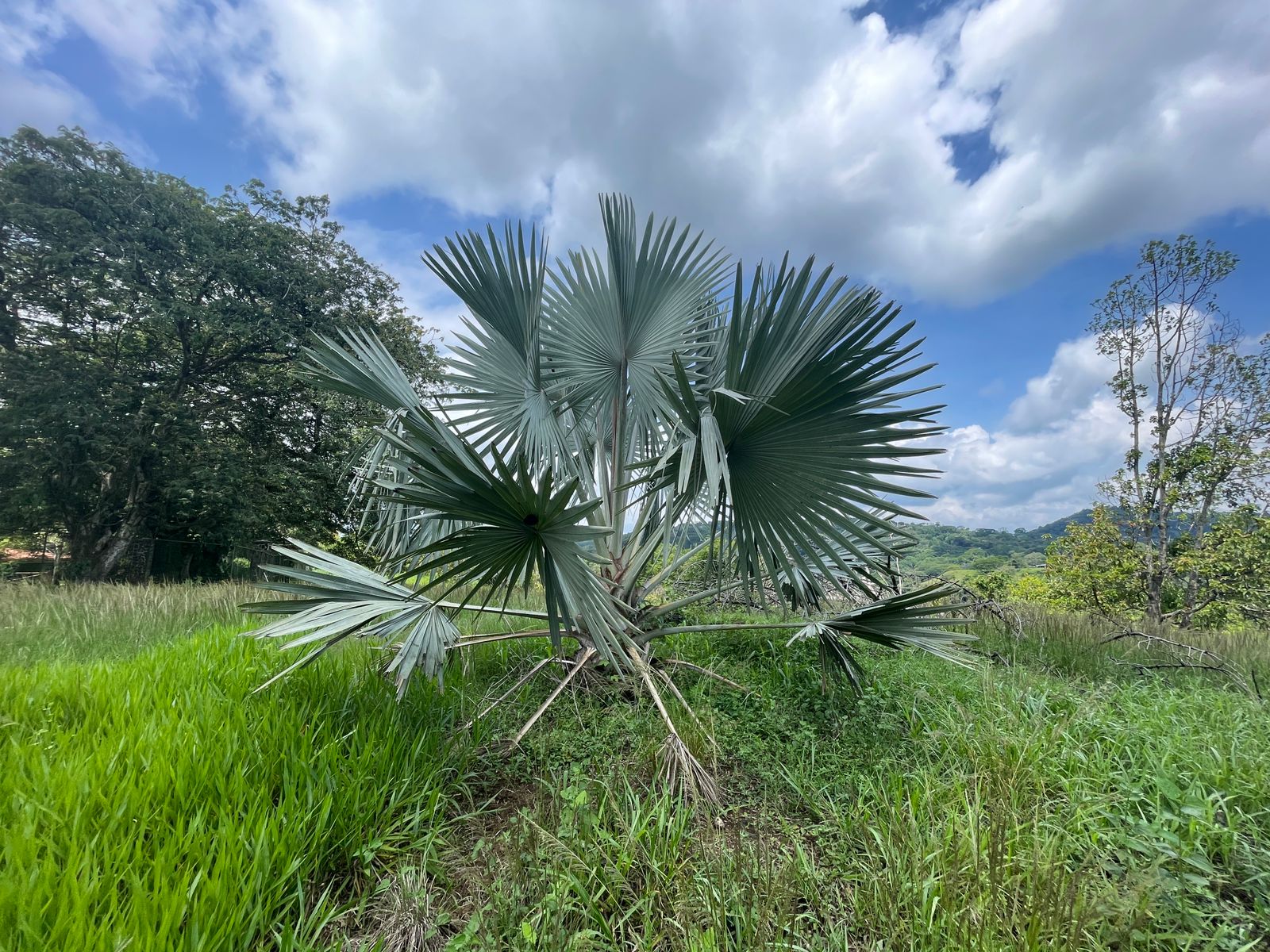 0 bed Land For Sale in Atenas, Alajuela - thumb 6