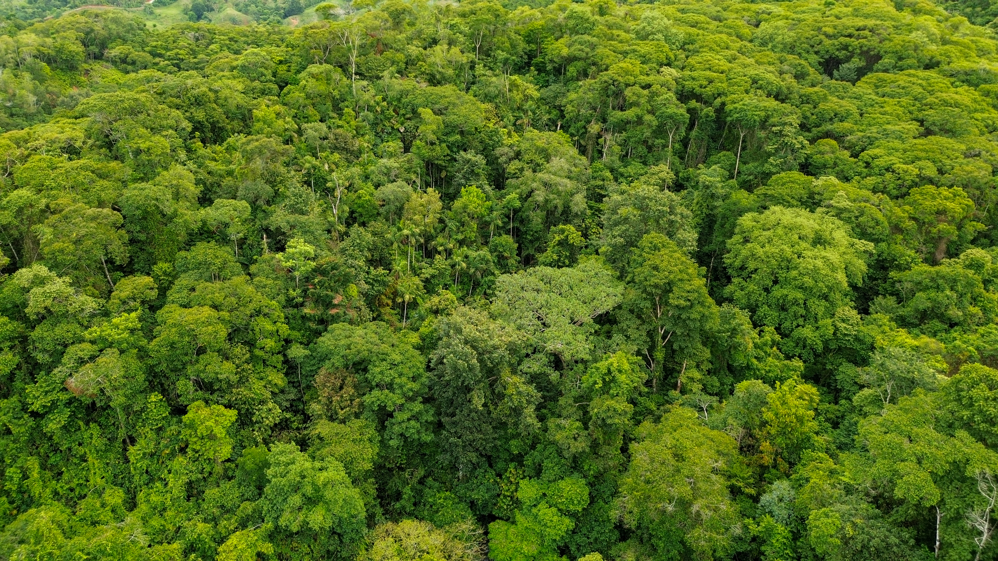 0 bed Land For Sale in Perez Zeledon, San Jose - thumb 18