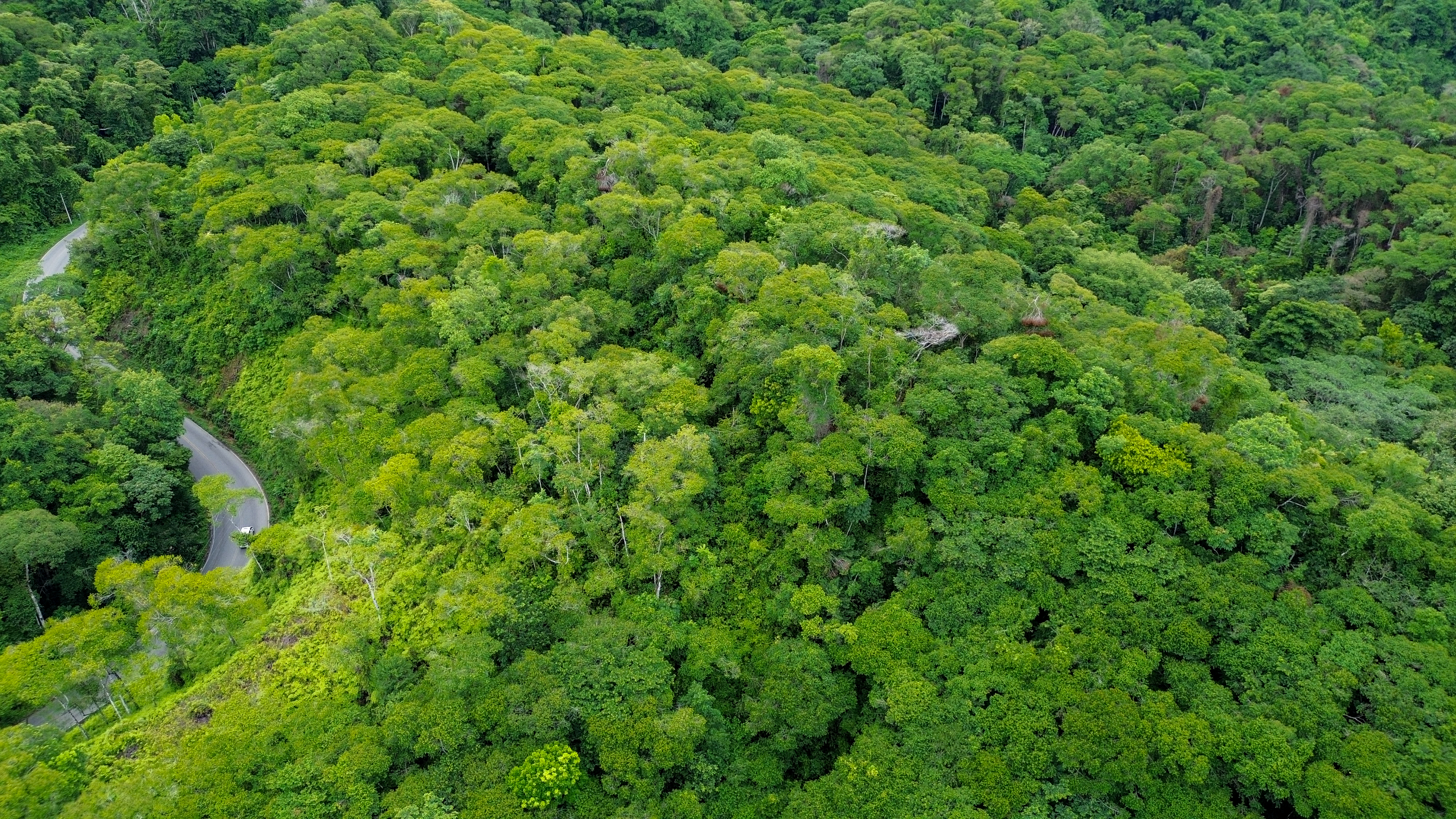 0 bed Land For Sale in Perez Zeledon, San Jose - thumb 14