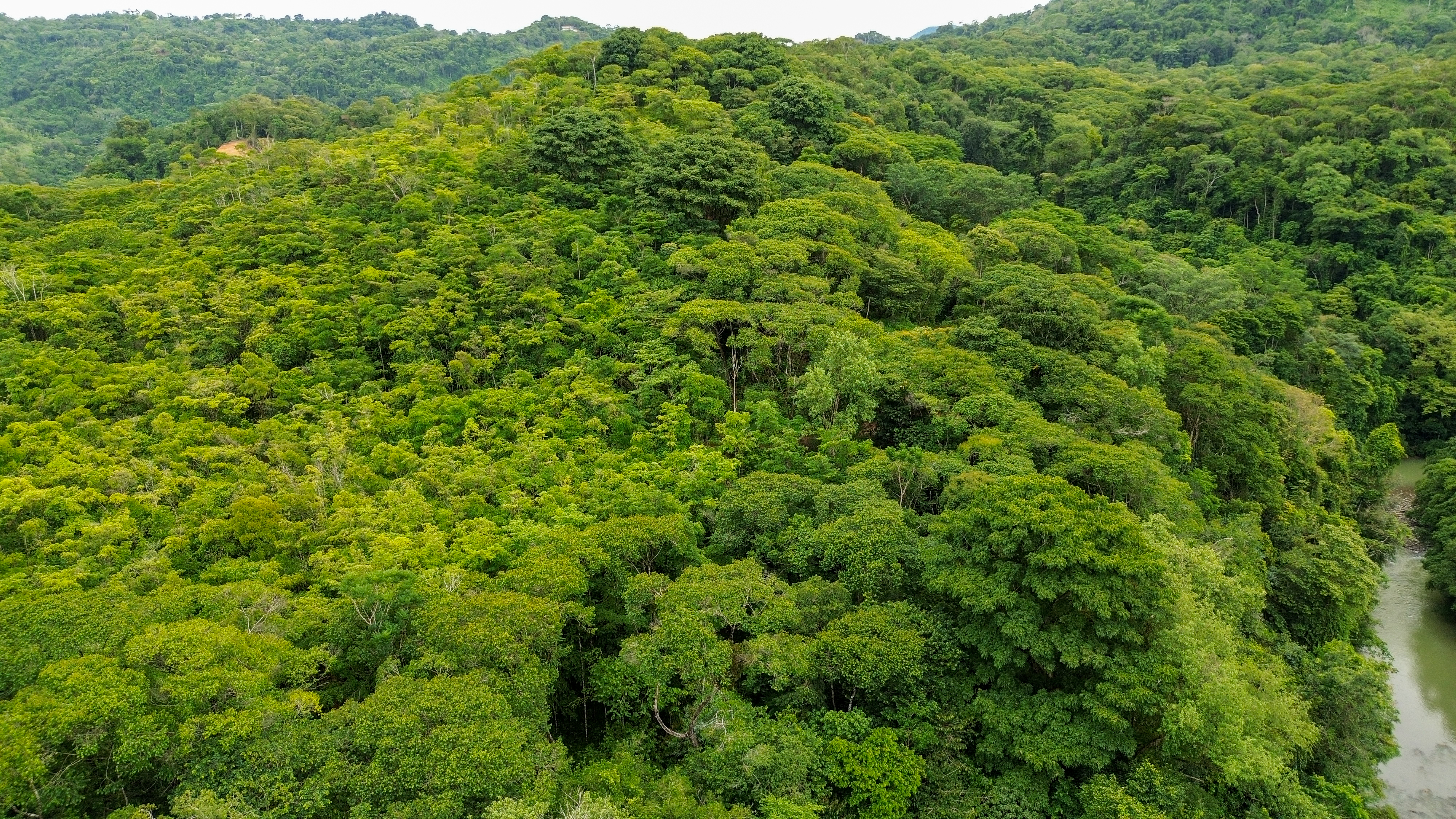 0 bed Land For Sale in Perez Zeledon, San Jose - thumb 22