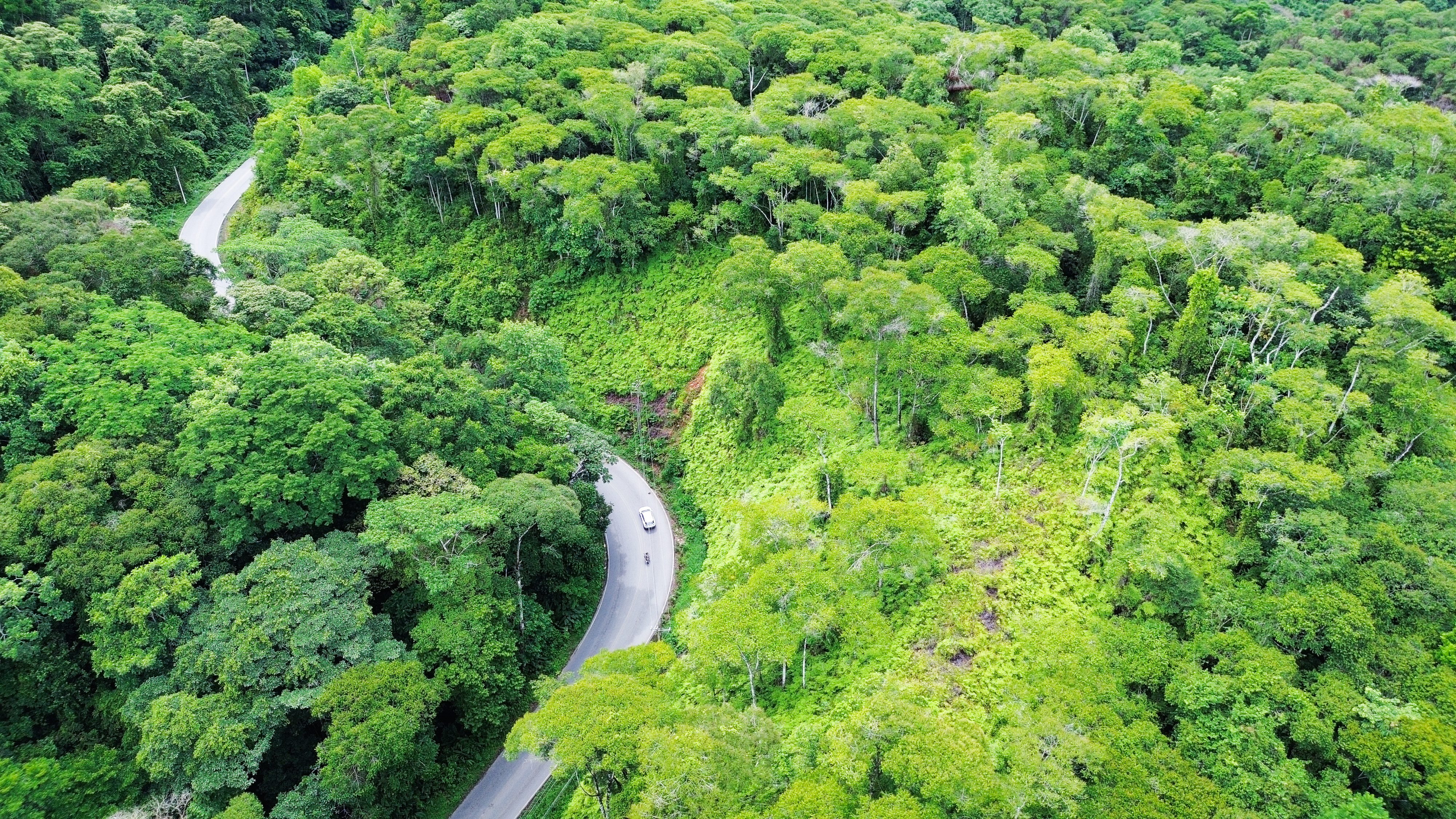 0 bed Land For Sale in Perez Zeledon, San Jose - thumb 8