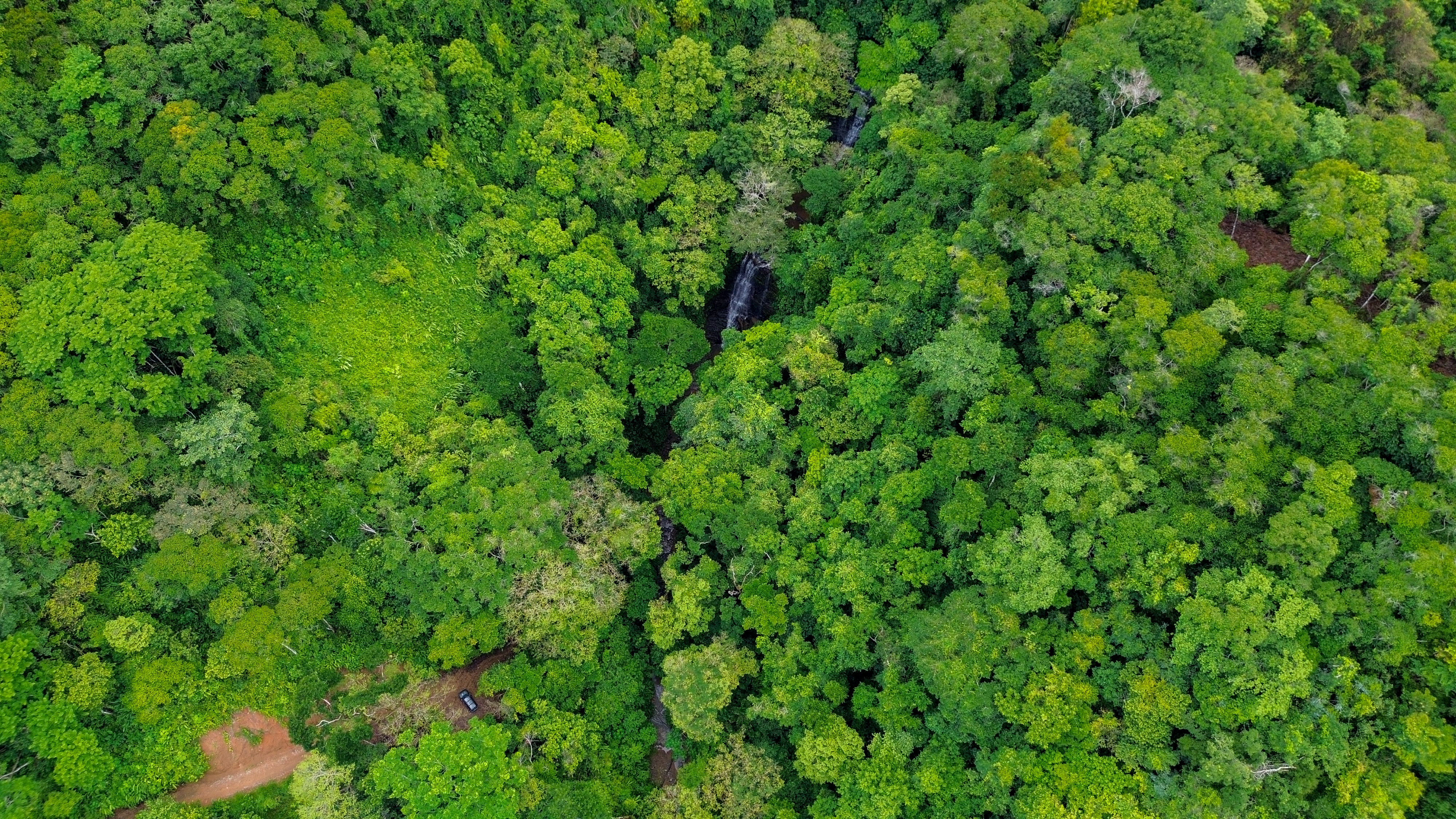 0 bed Land For Sale in Perez Zeledon, San Jose - thumb 15