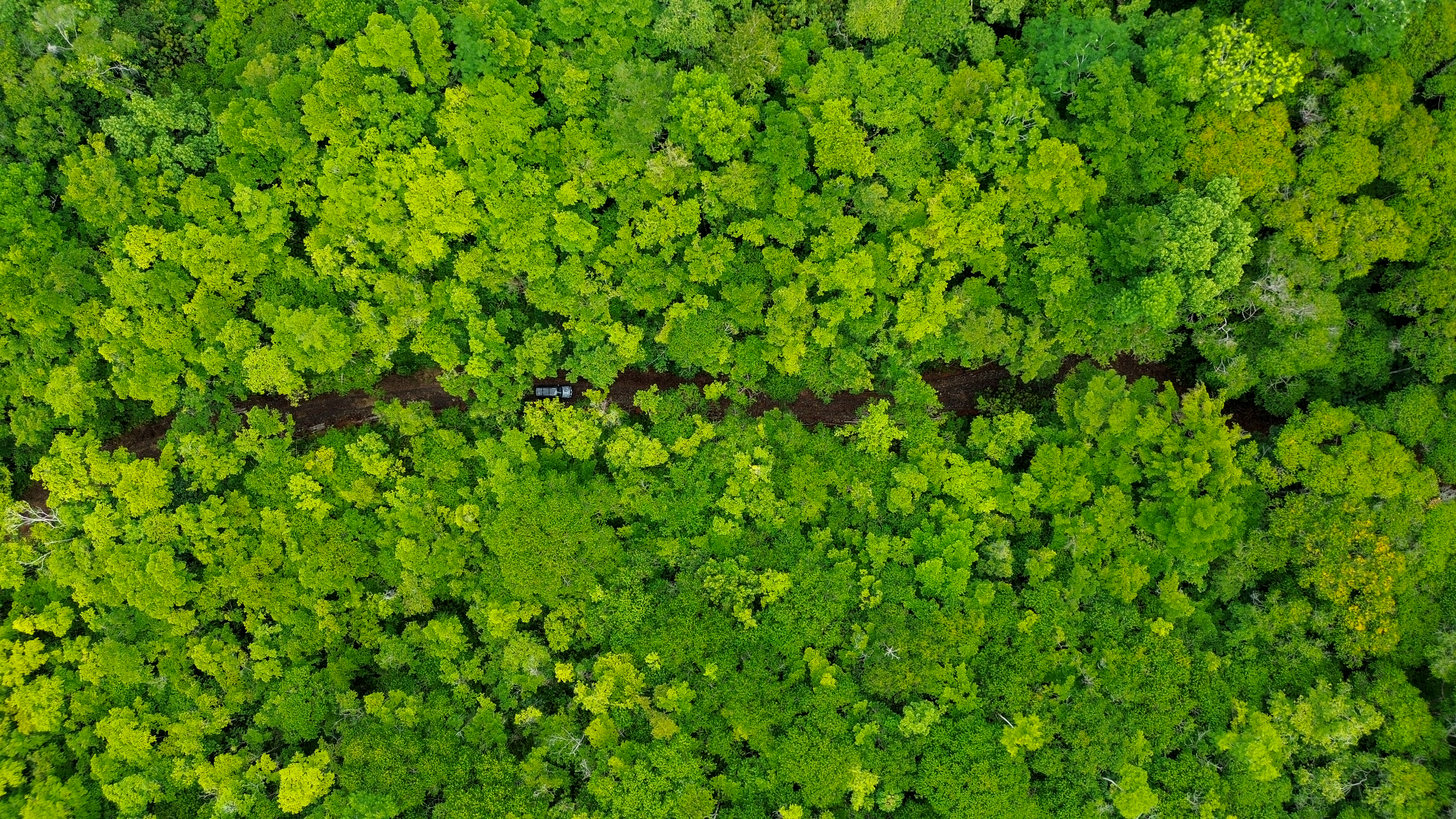 0 bed Land For Sale in Perez Zeledon, San Jose - thumb 9