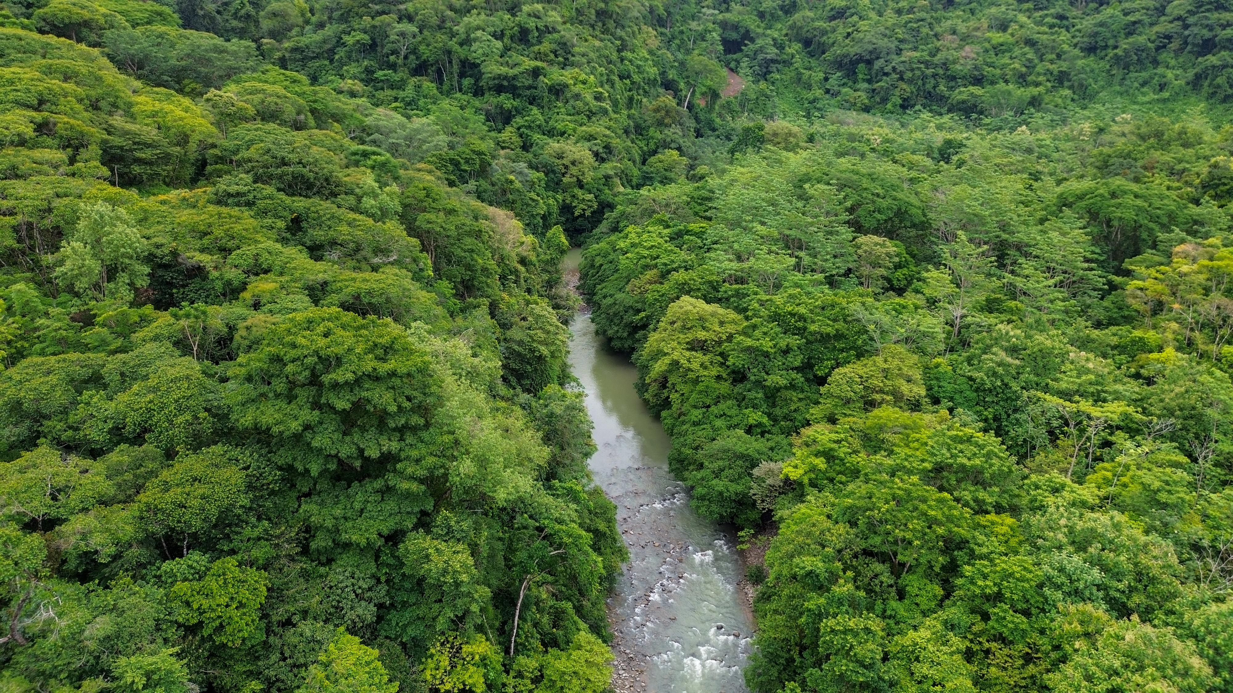 0 bed Land For Sale in Perez Zeledon, San Jose - thumb 23