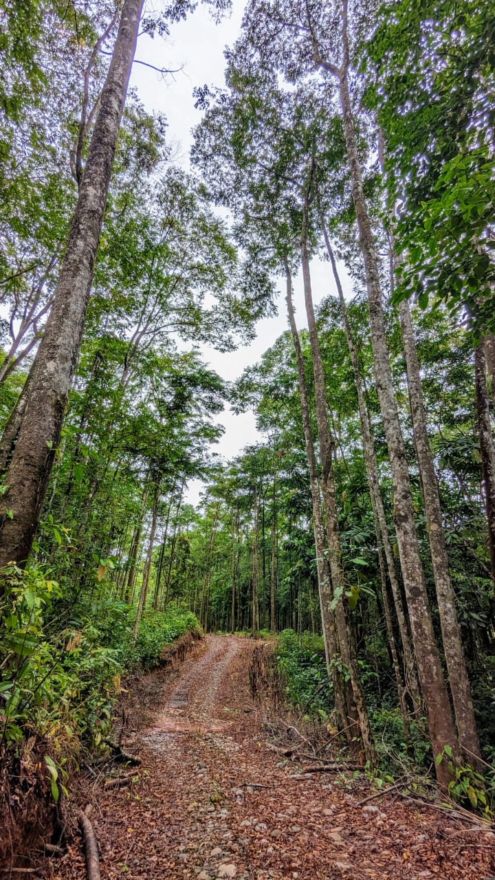 0 bed Land For Sale in Perez Zeledon, San Jose - thumb 4