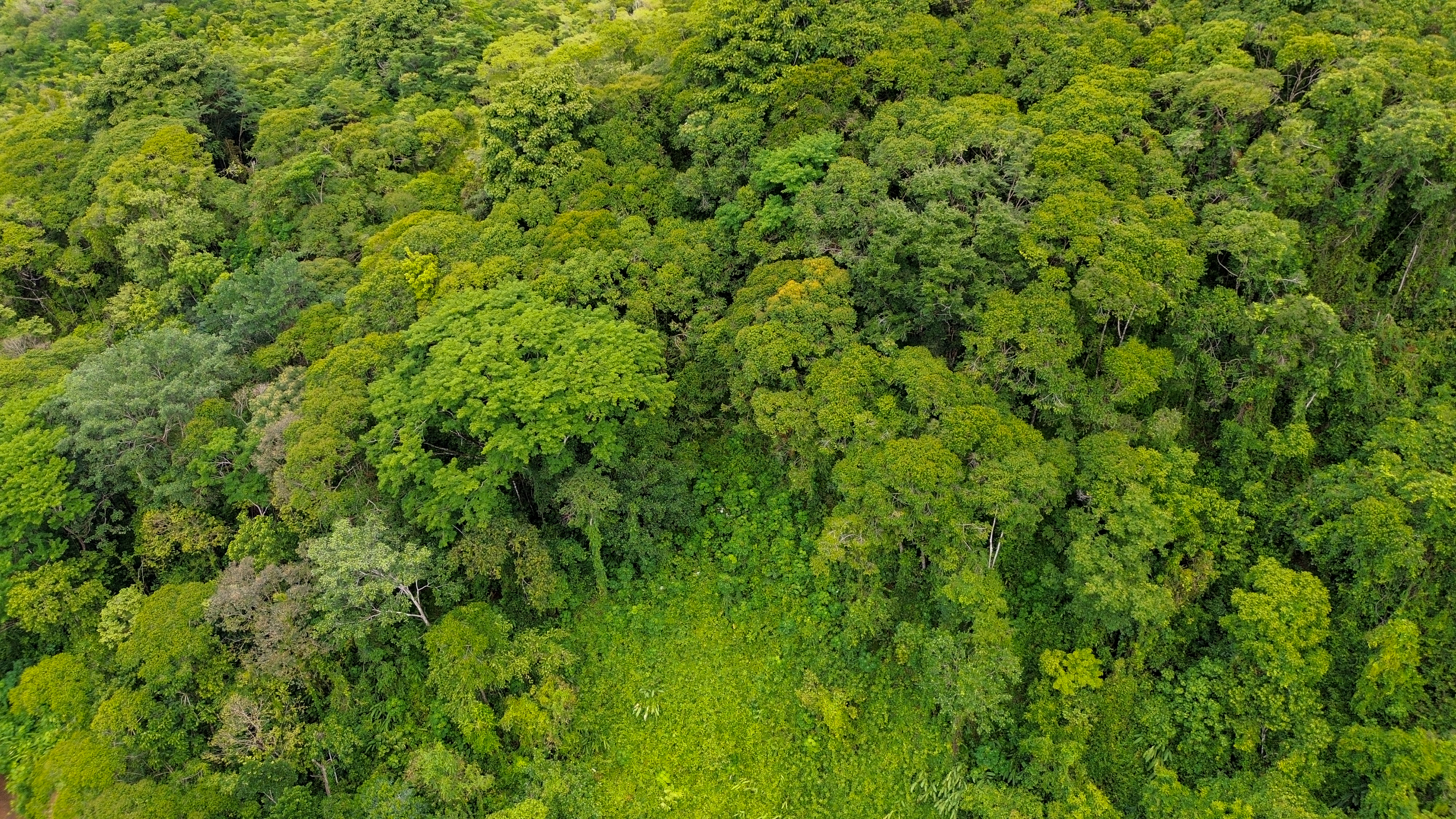 0 bed Land For Sale in Perez Zeledon, San Jose - thumb 16