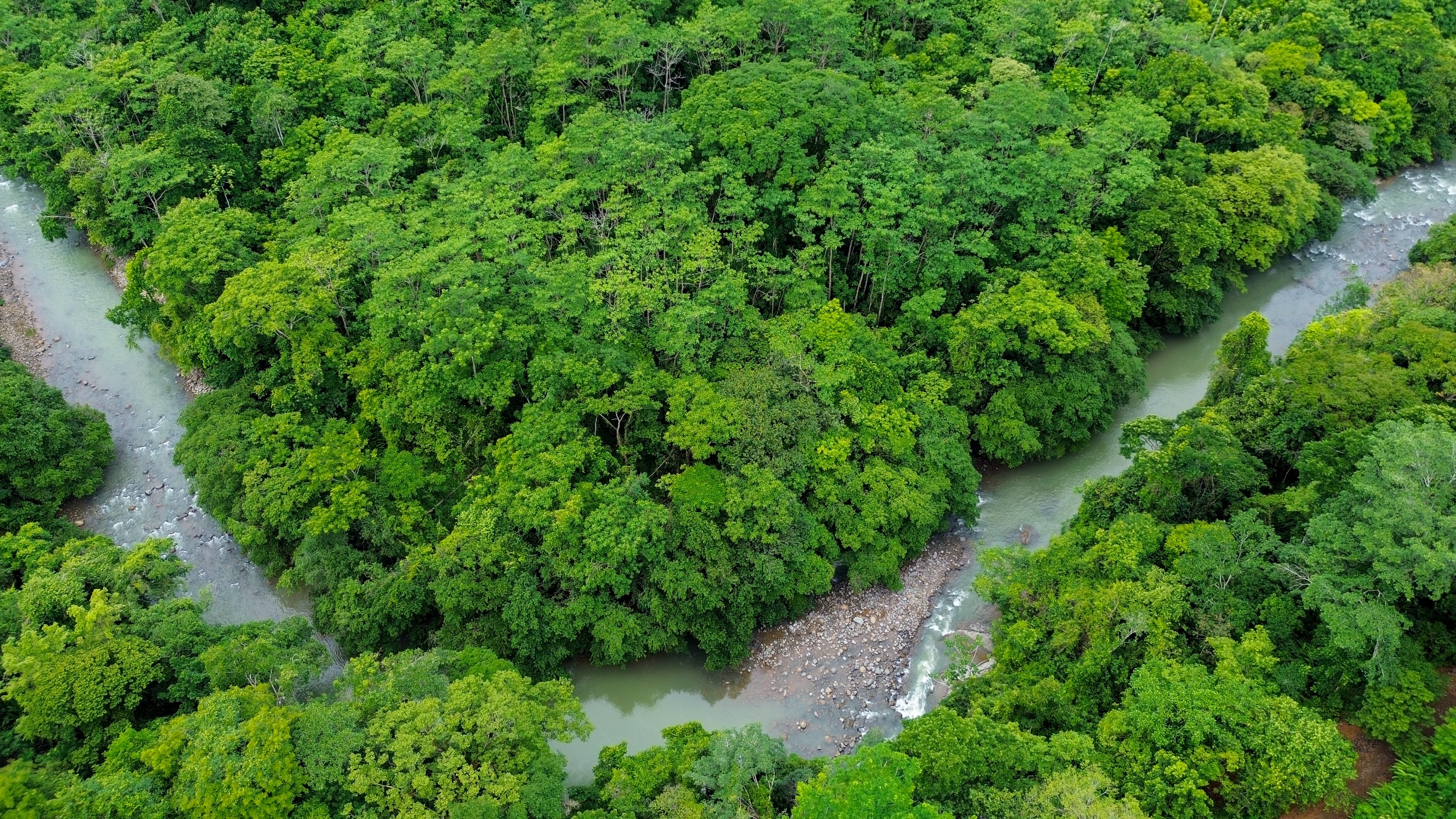 0 bed Land For Sale in Perez Zeledon, San Jose - thumb 17