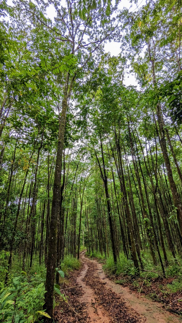 0 bed Land For Sale in Perez Zeledon, San Jose - thumb 7