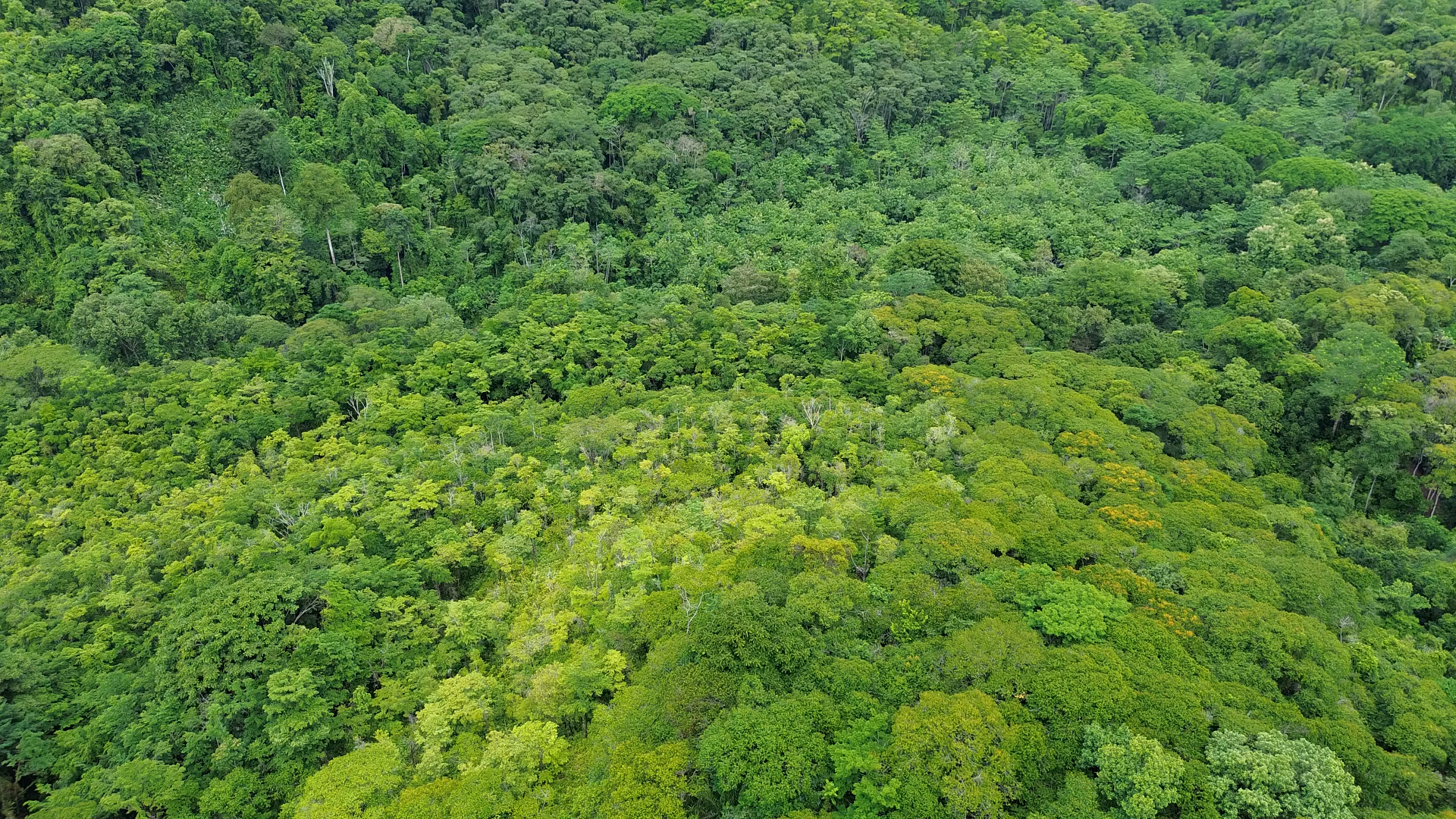 0 bed Land For Sale in Perez Zeledon, San Jose - thumb 13