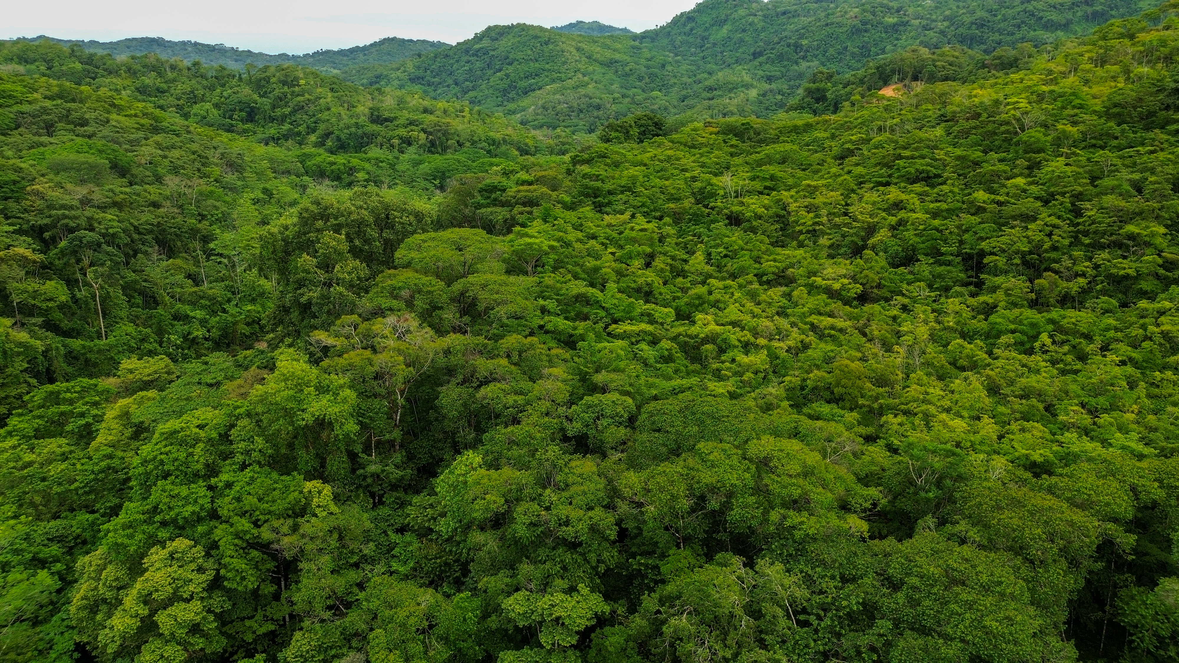 0 bed Land For Sale in Perez Zeledon, San Jose - thumb 24