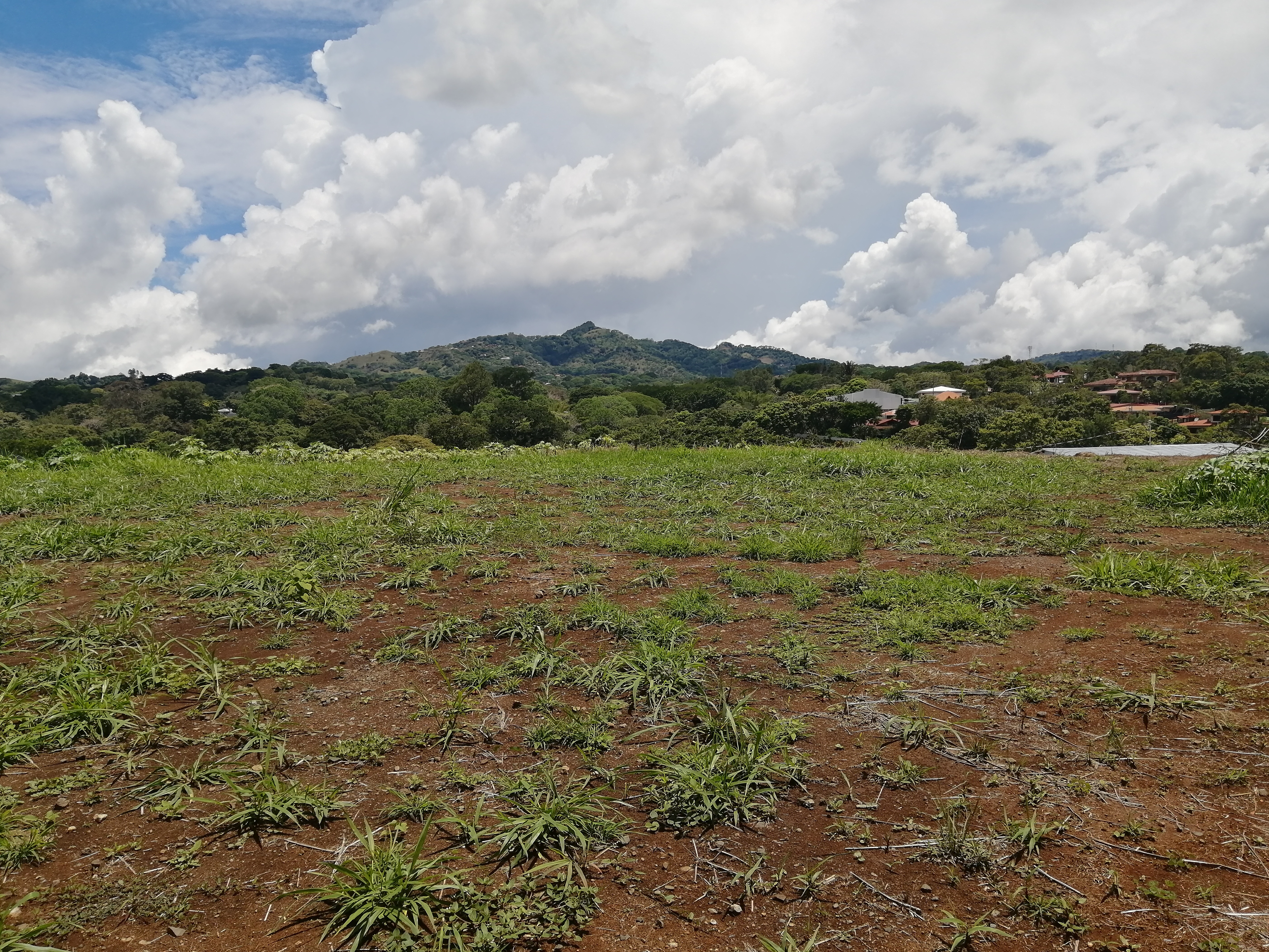 0 bed Land For Sale in Atenas, Alajuela - thumb 4