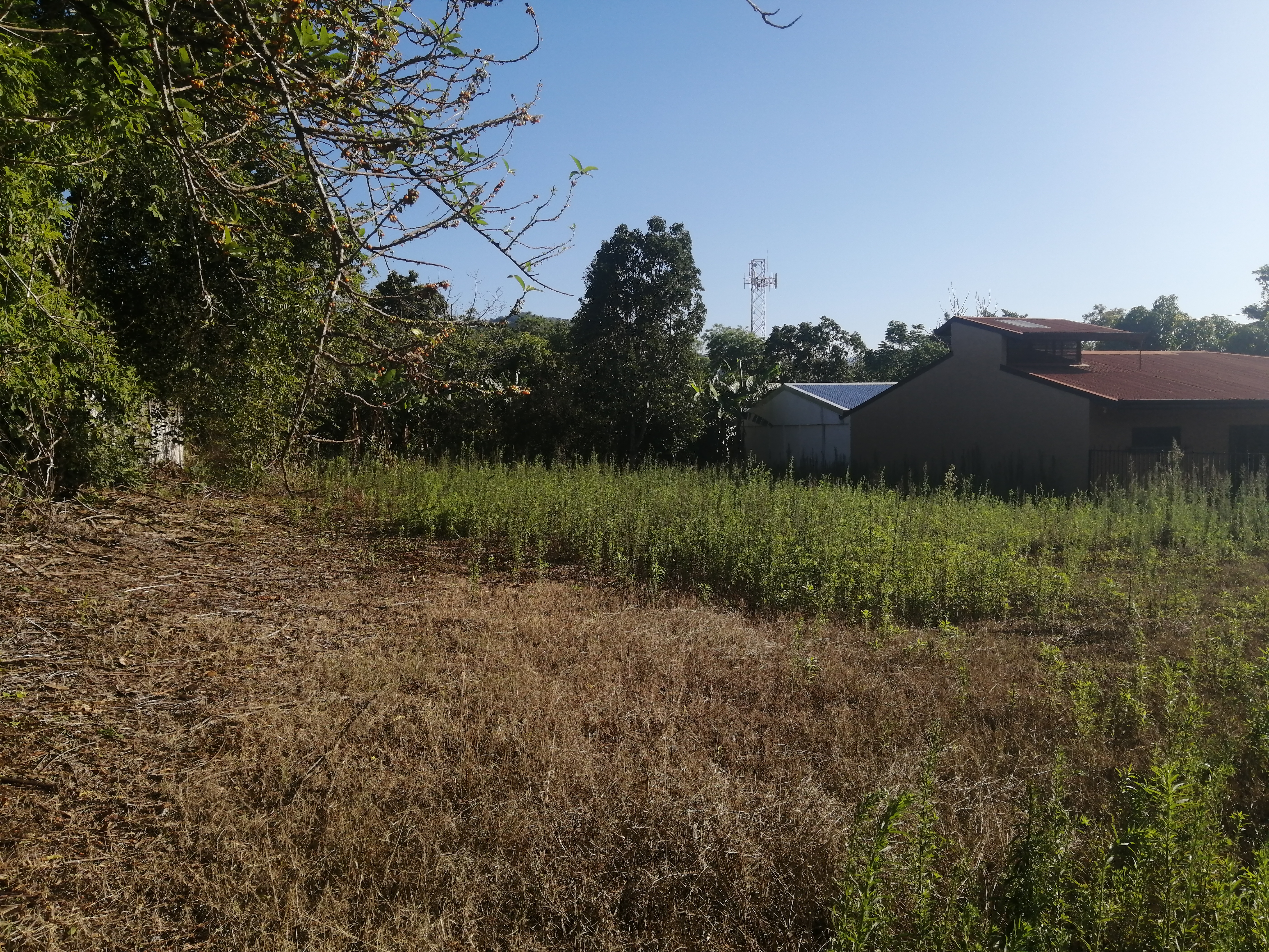 0 bed Land For Sale in Atenas, Alajuela - thumb 2
