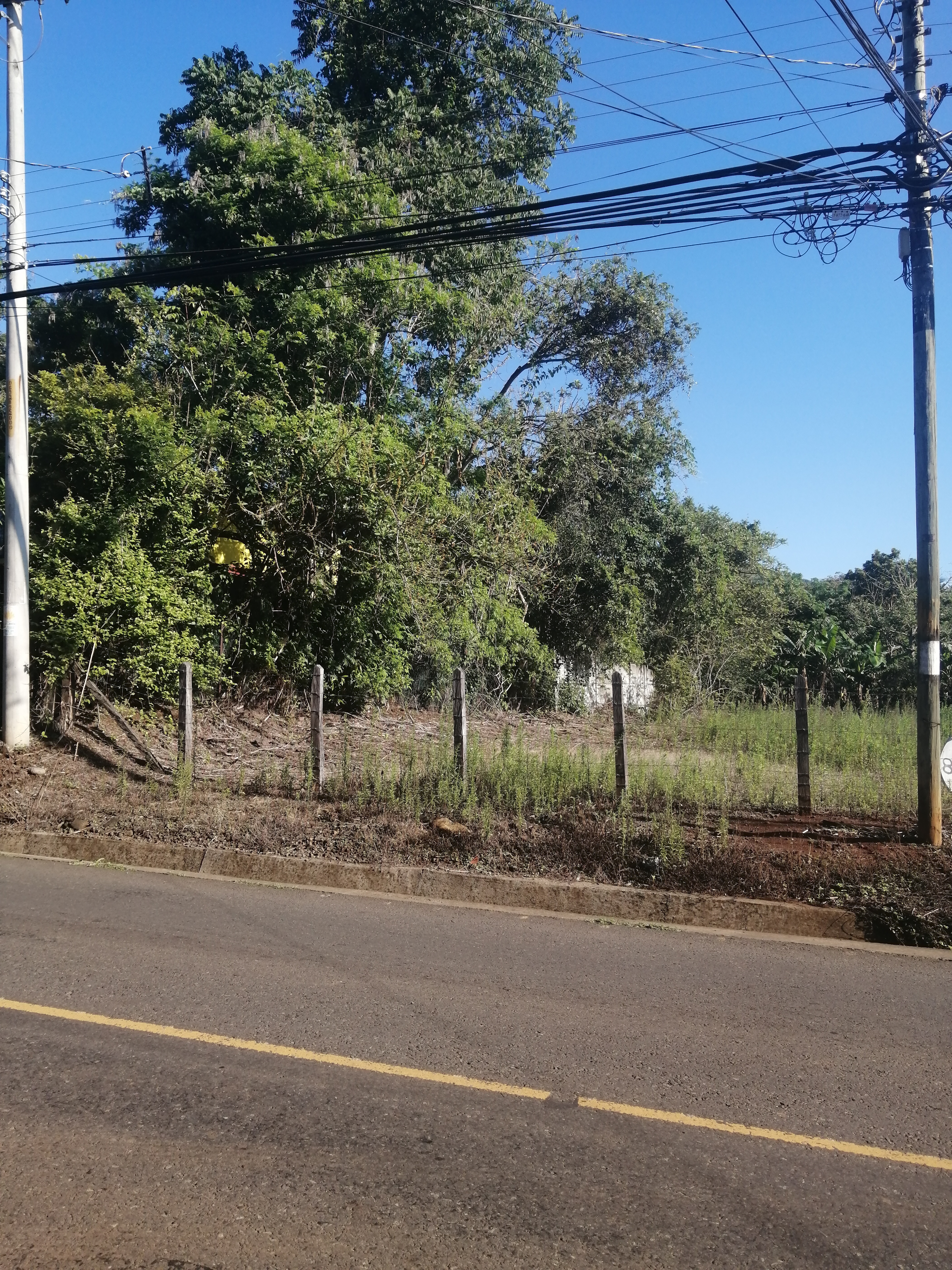 0 bed Land For Sale in Atenas, Alajuela - thumb 4