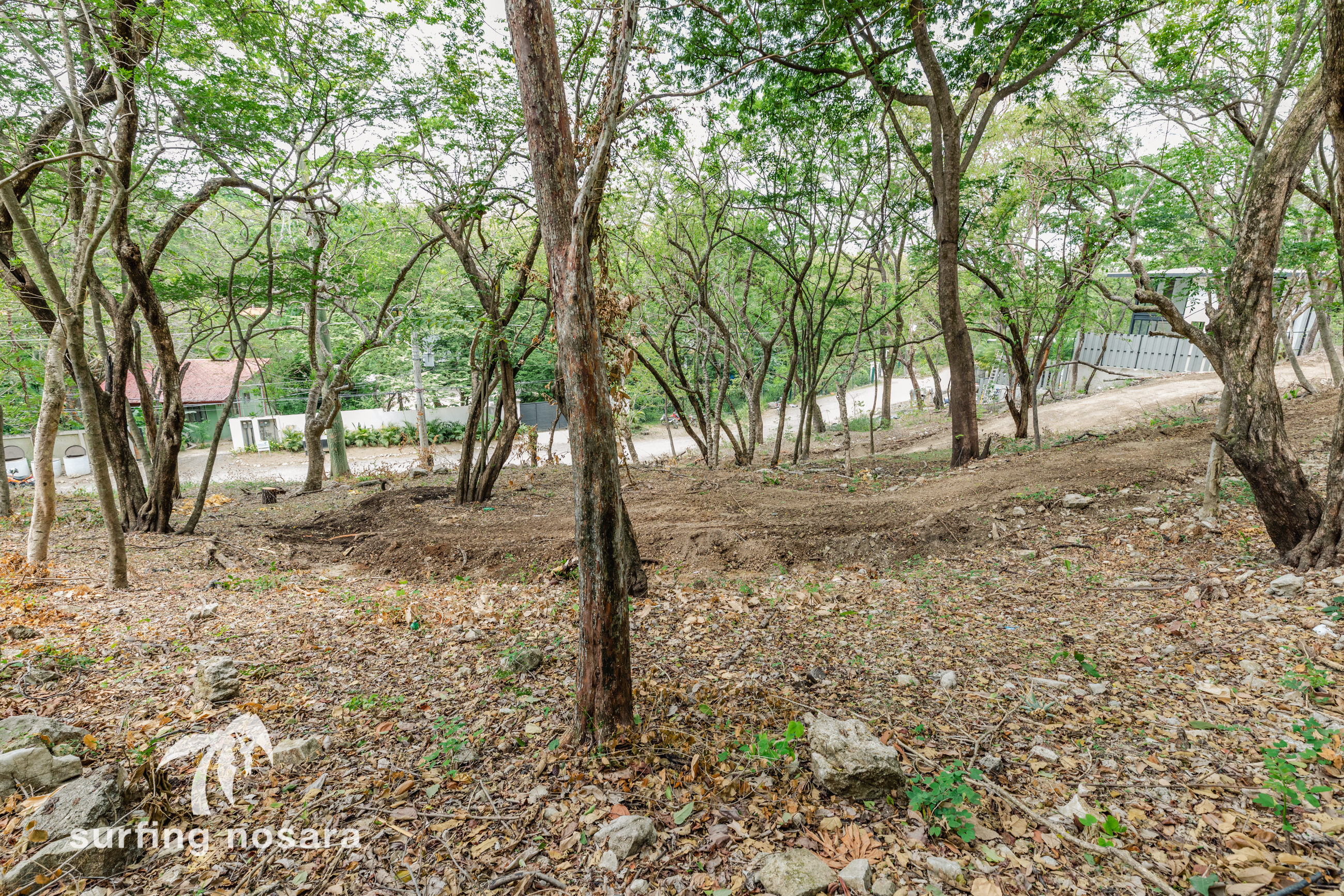 0 bed Land For Sale in Playa Guiones, Guanacaste - thumb 8