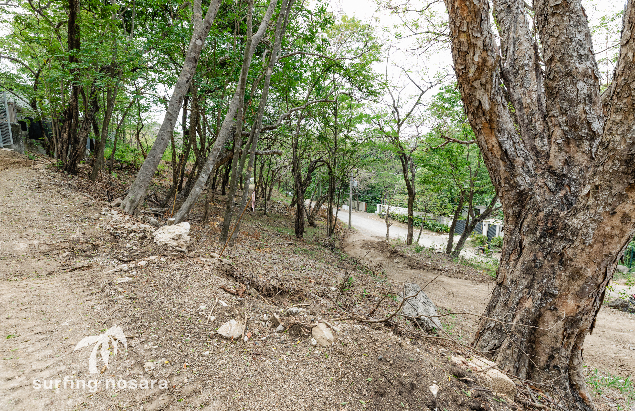 0 bed Land For Sale in Playa Guiones, Guanacaste - thumb 5