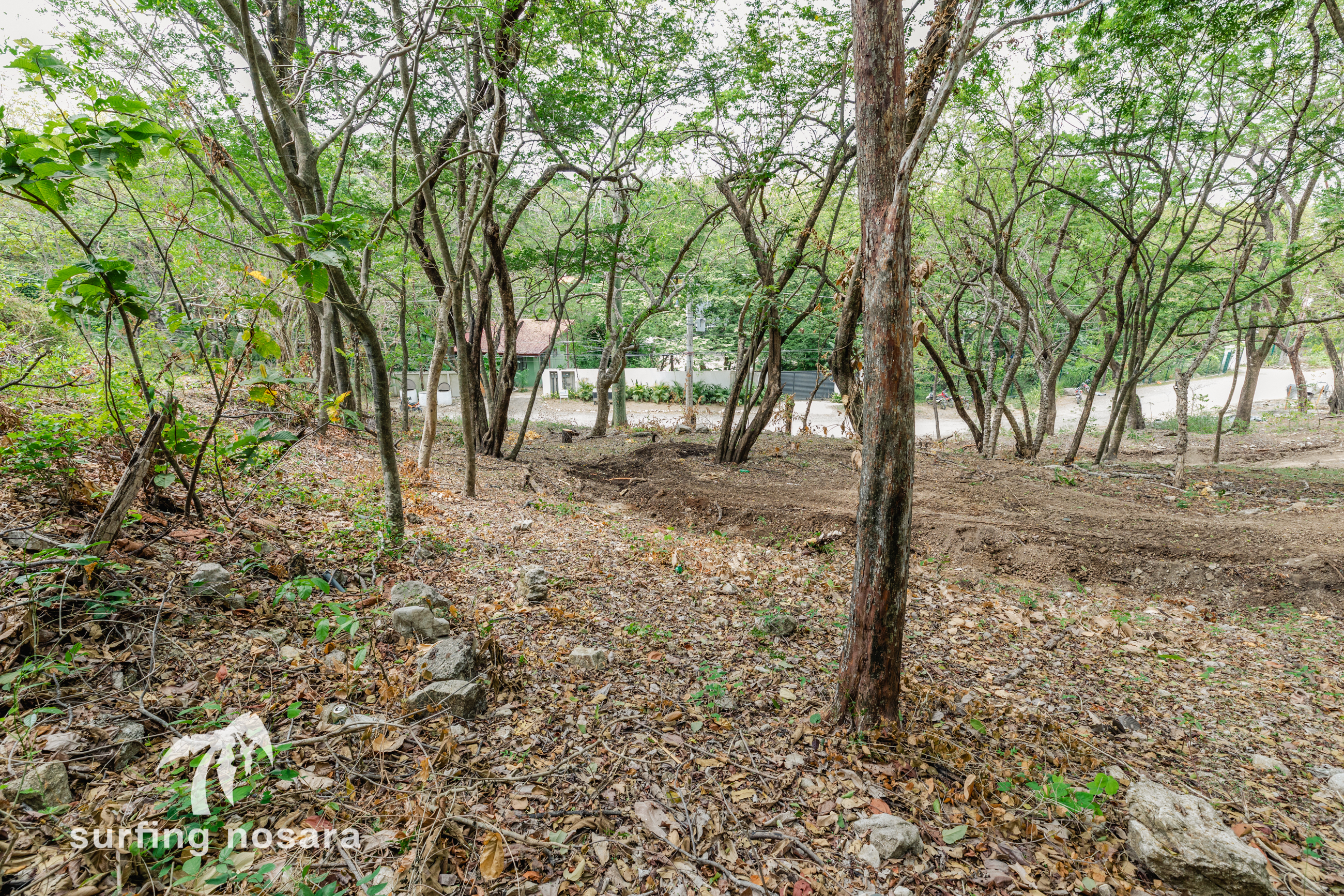 0 bed Land For Sale in Playa Guiones, Guanacaste - thumb 9