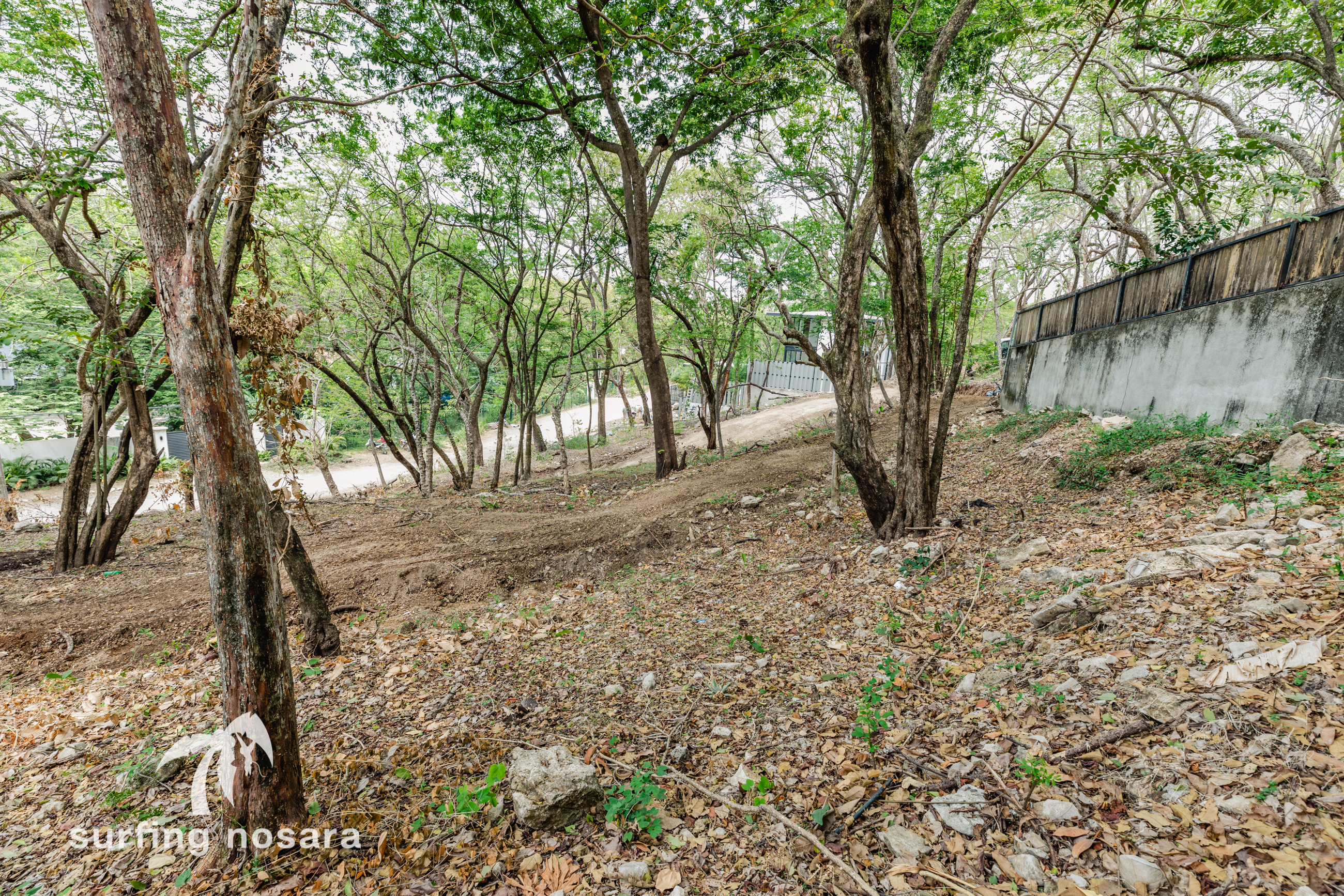 0 bed Land For Sale in Playa Guiones, Guanacaste - thumb 4