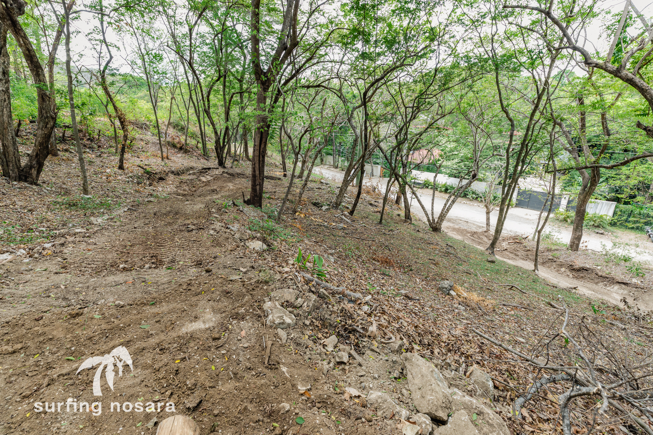 0 bed Land For Sale in Playa Guiones, Guanacaste - thumb 3