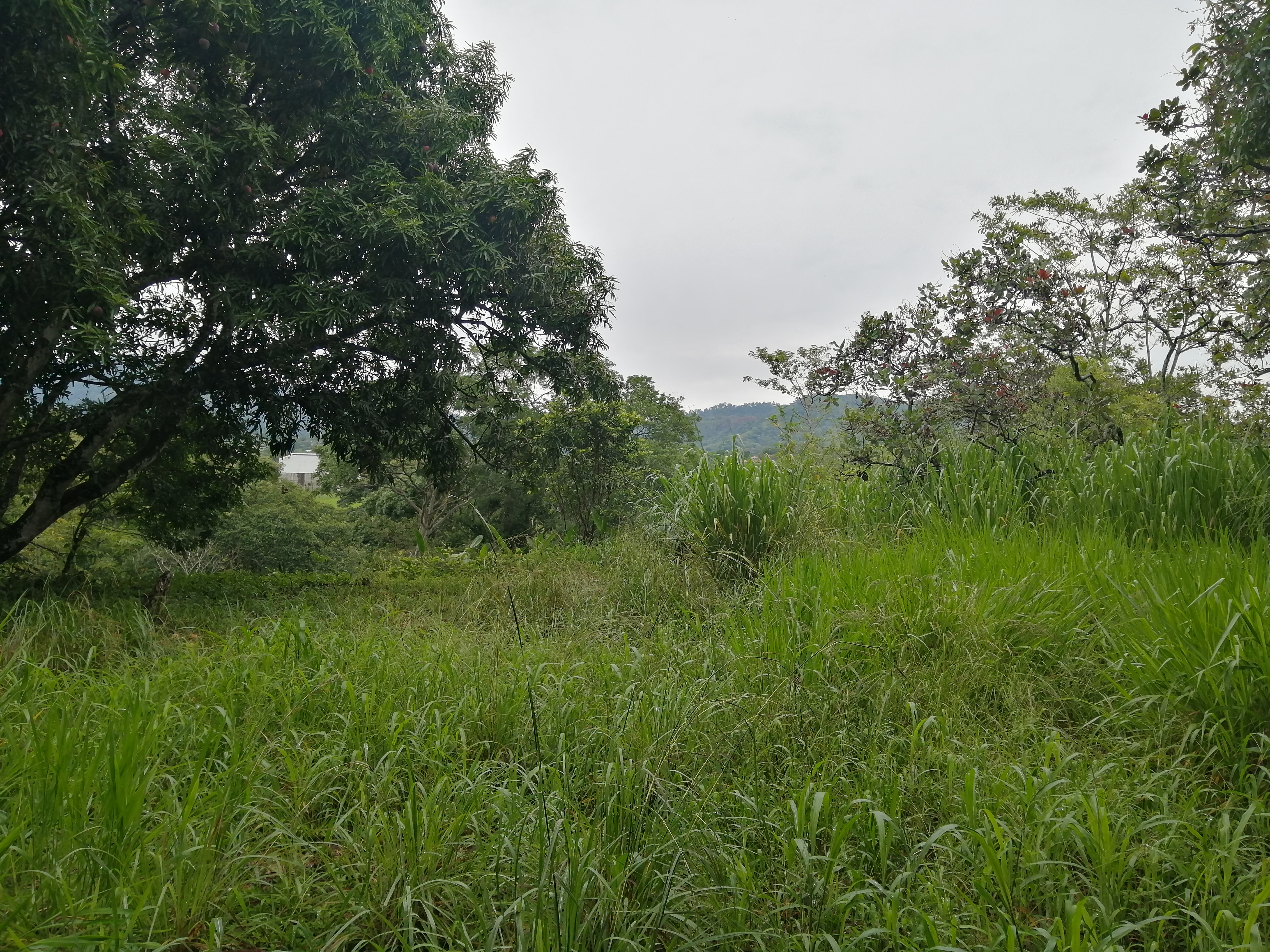 8 bed Commercial For Sale in Atenas, Alajuela - thumb 17