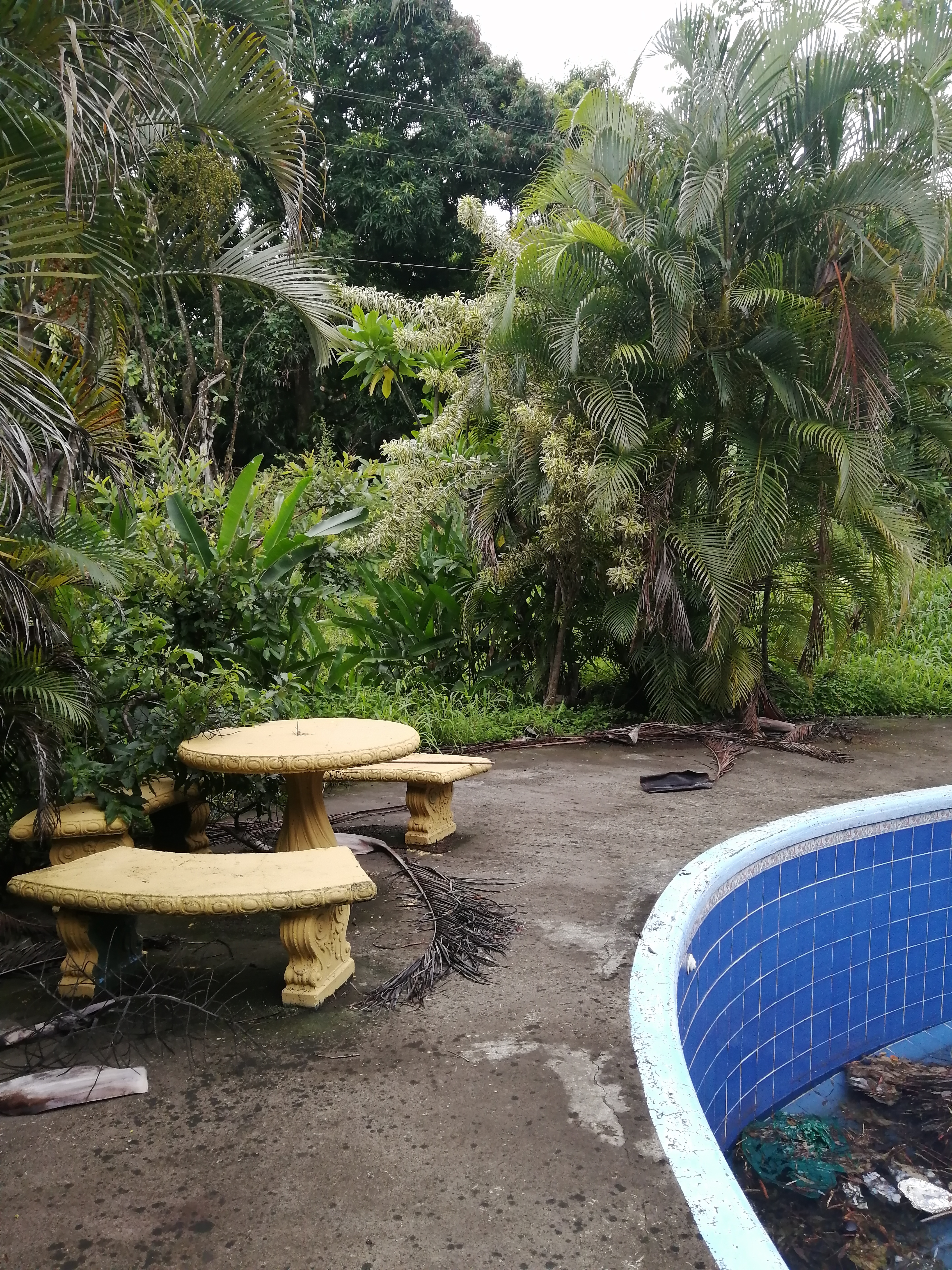 8 bed Commercial For Sale in Atenas, Alajuela - thumb 8