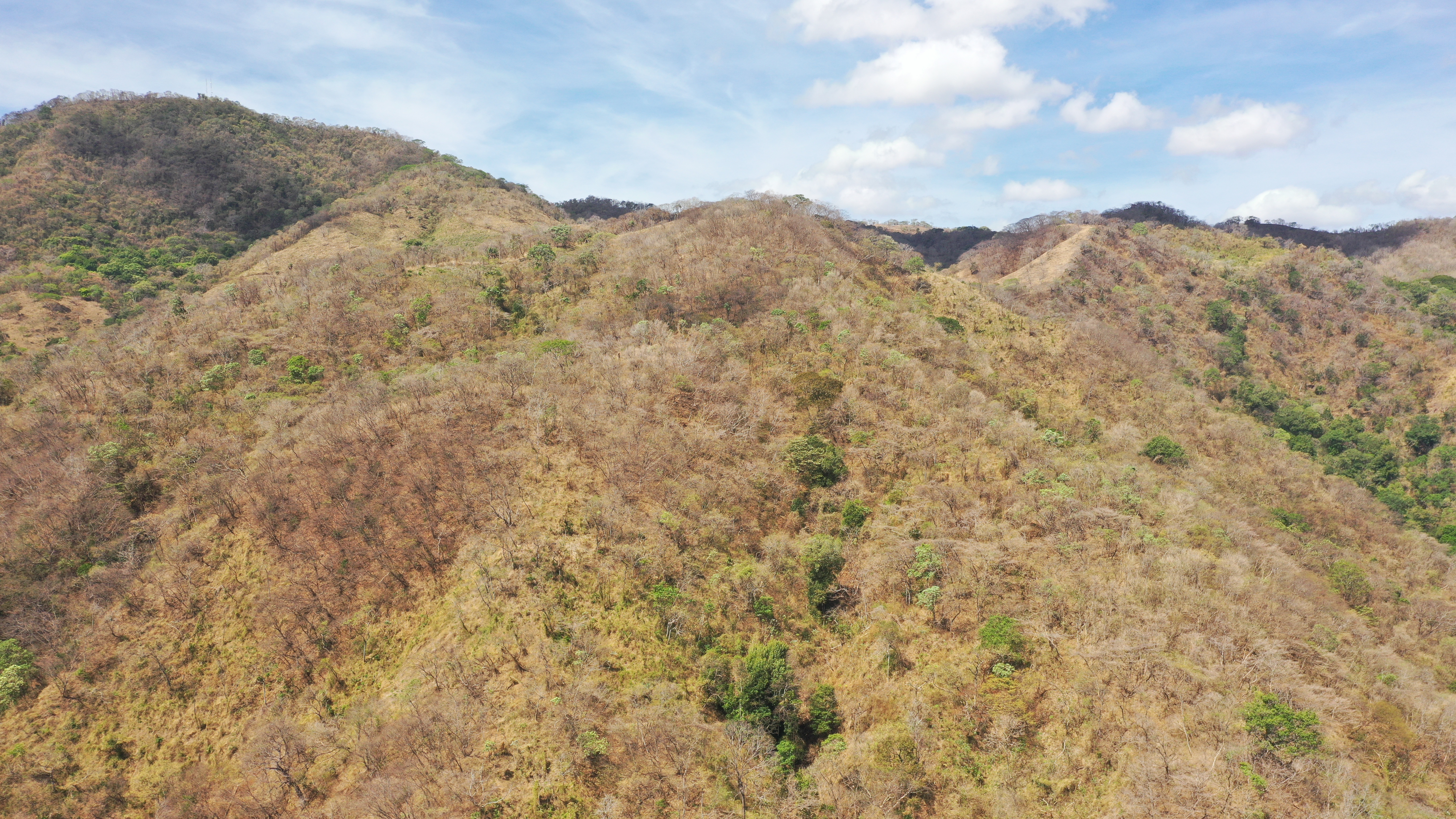 0 bed Land For Sale in Nicoya Peninsula, Guanacaste - thumb 12